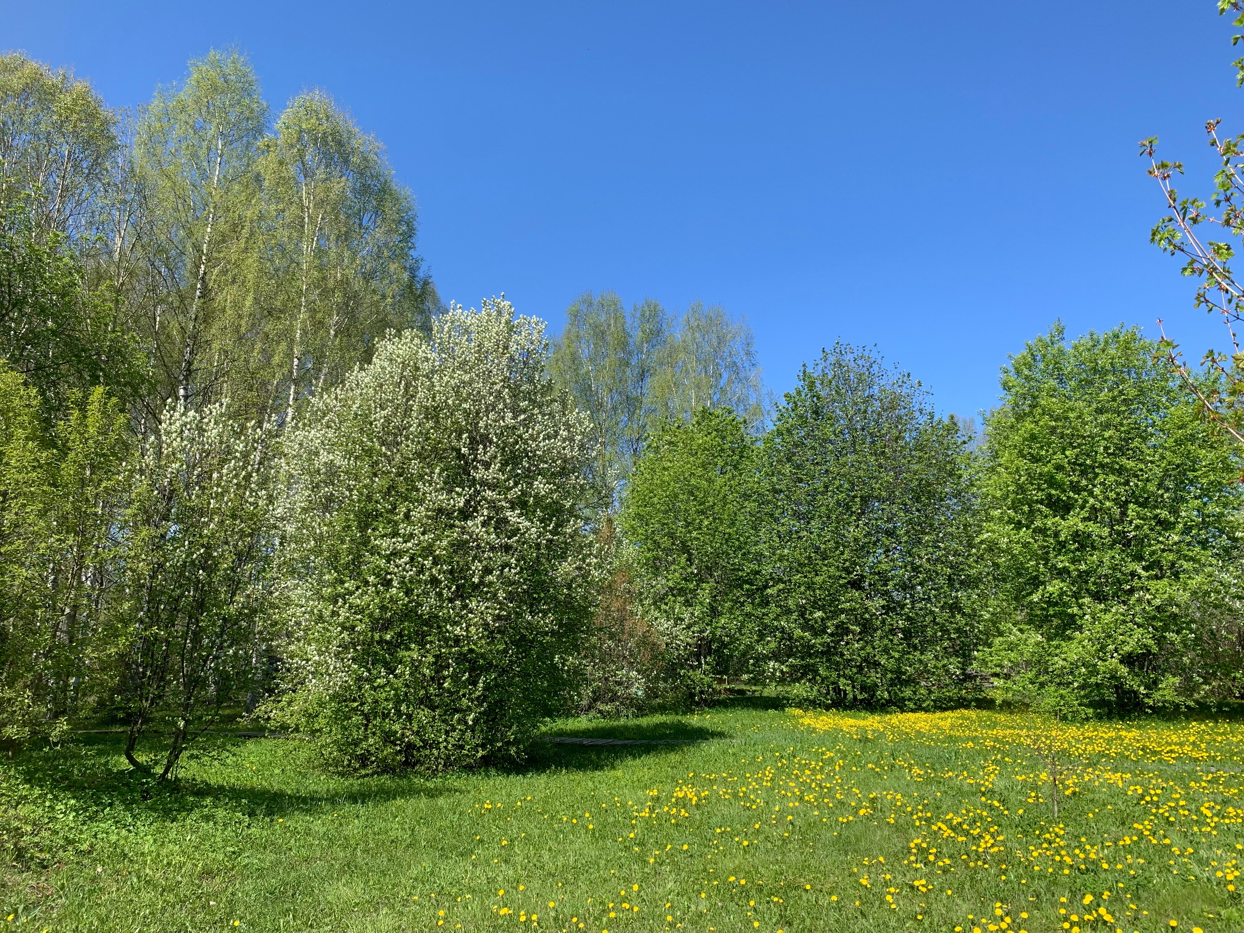 Фото Эко-Усадьба Ошеть