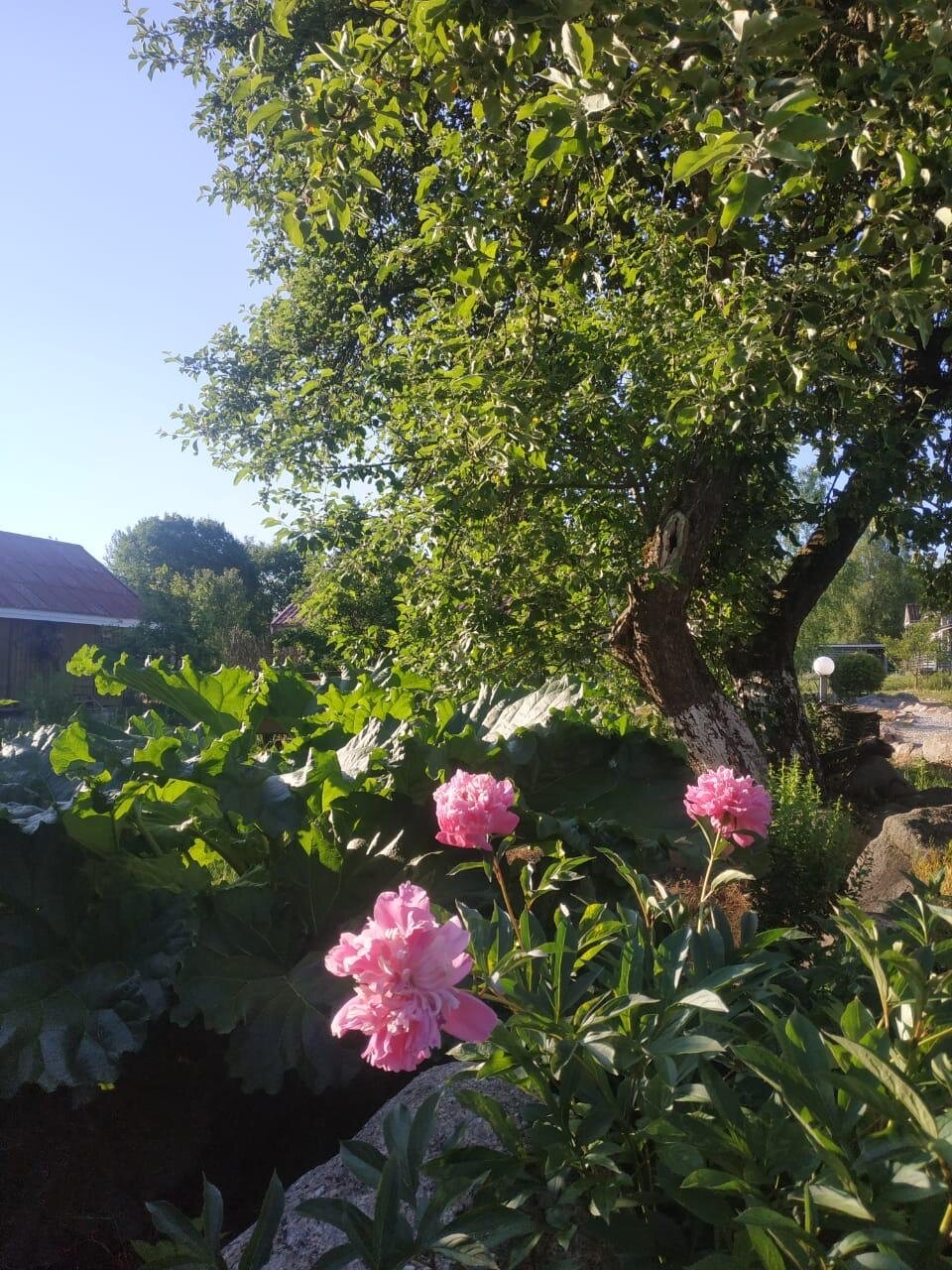 Фото Коттеджи в Кириллово