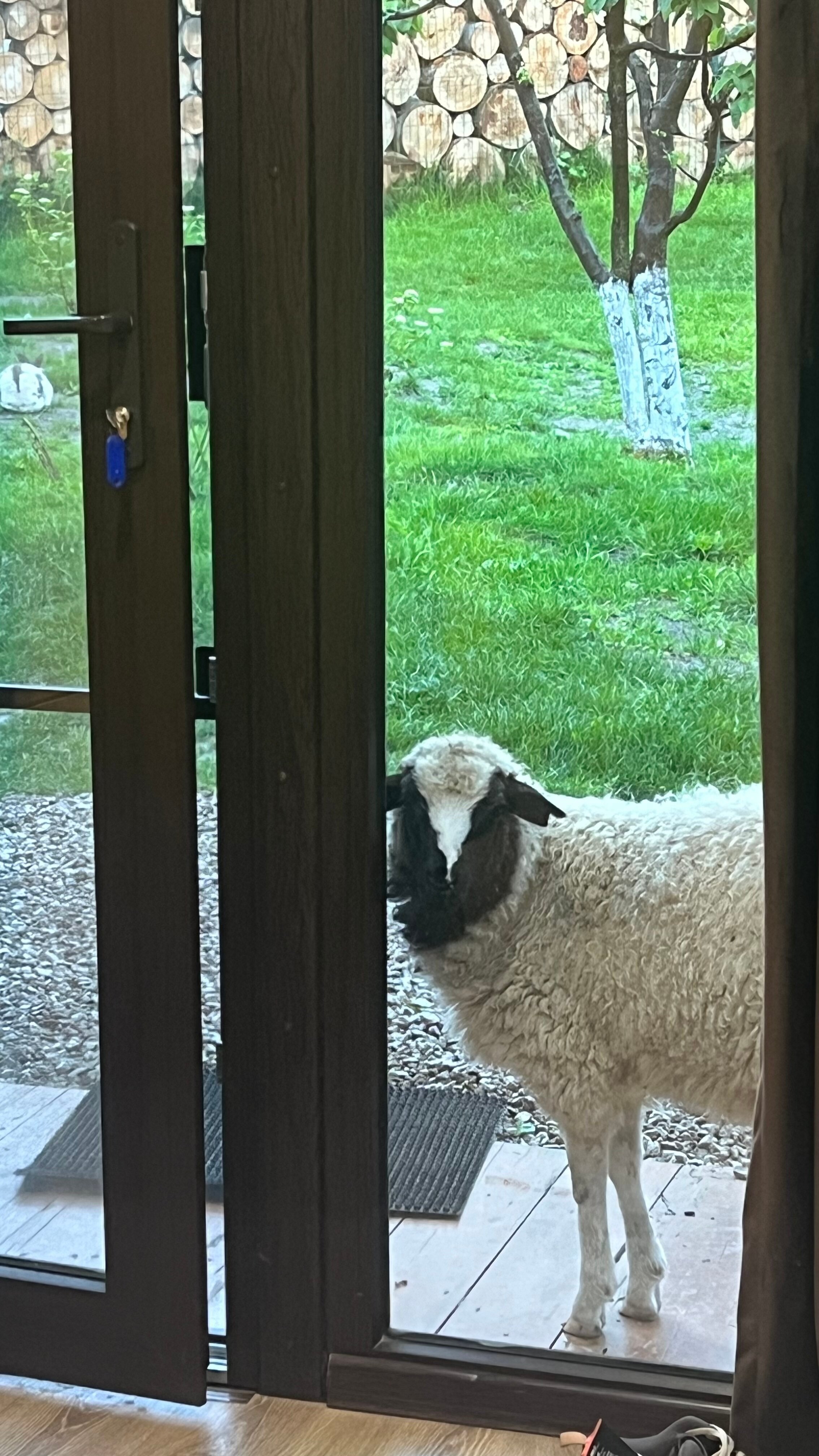 Фото Фруктовый Сад