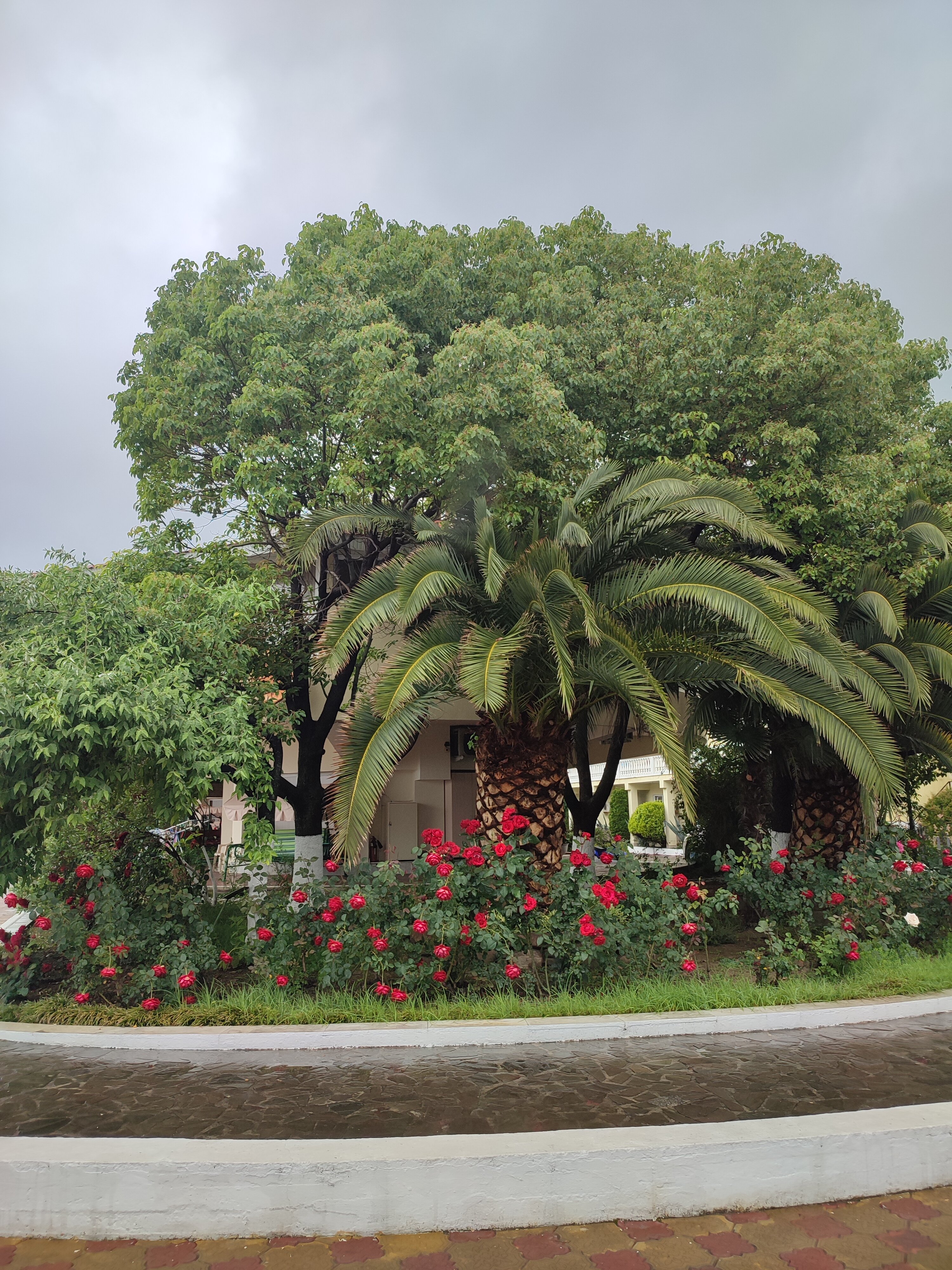 Фото Атола Лоо