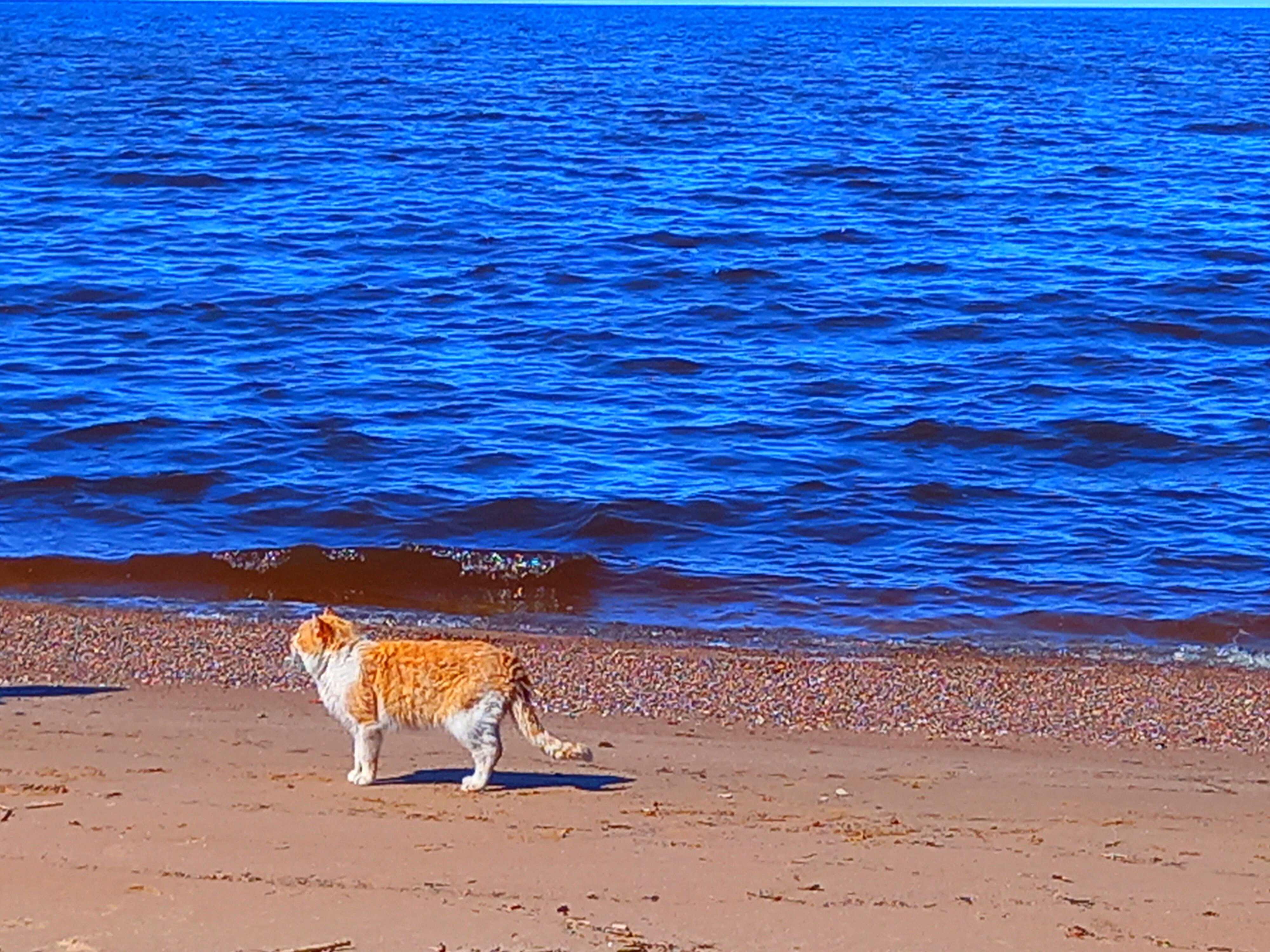Фото Гостевой дом Устье