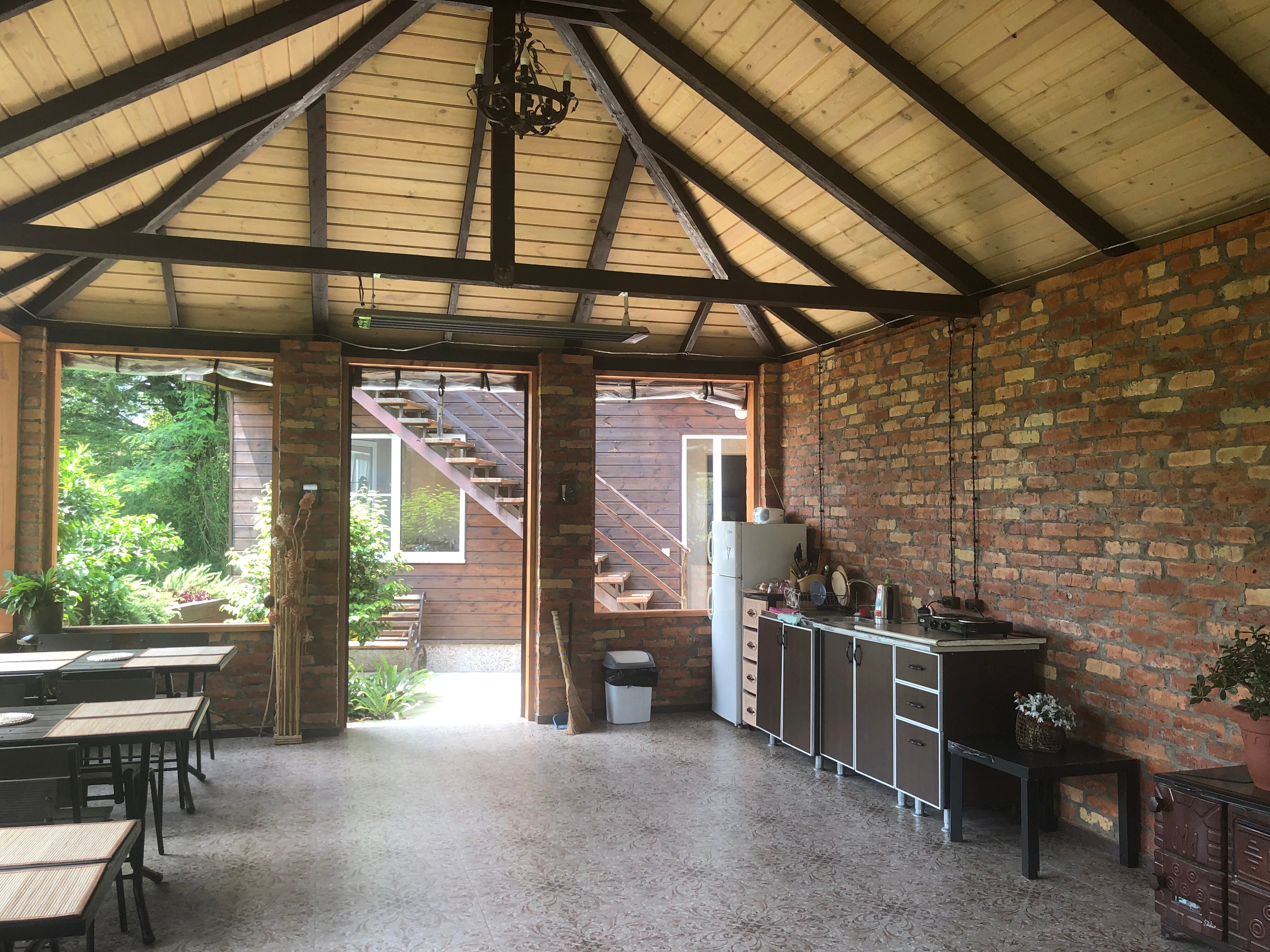 Фото Эвкалипт