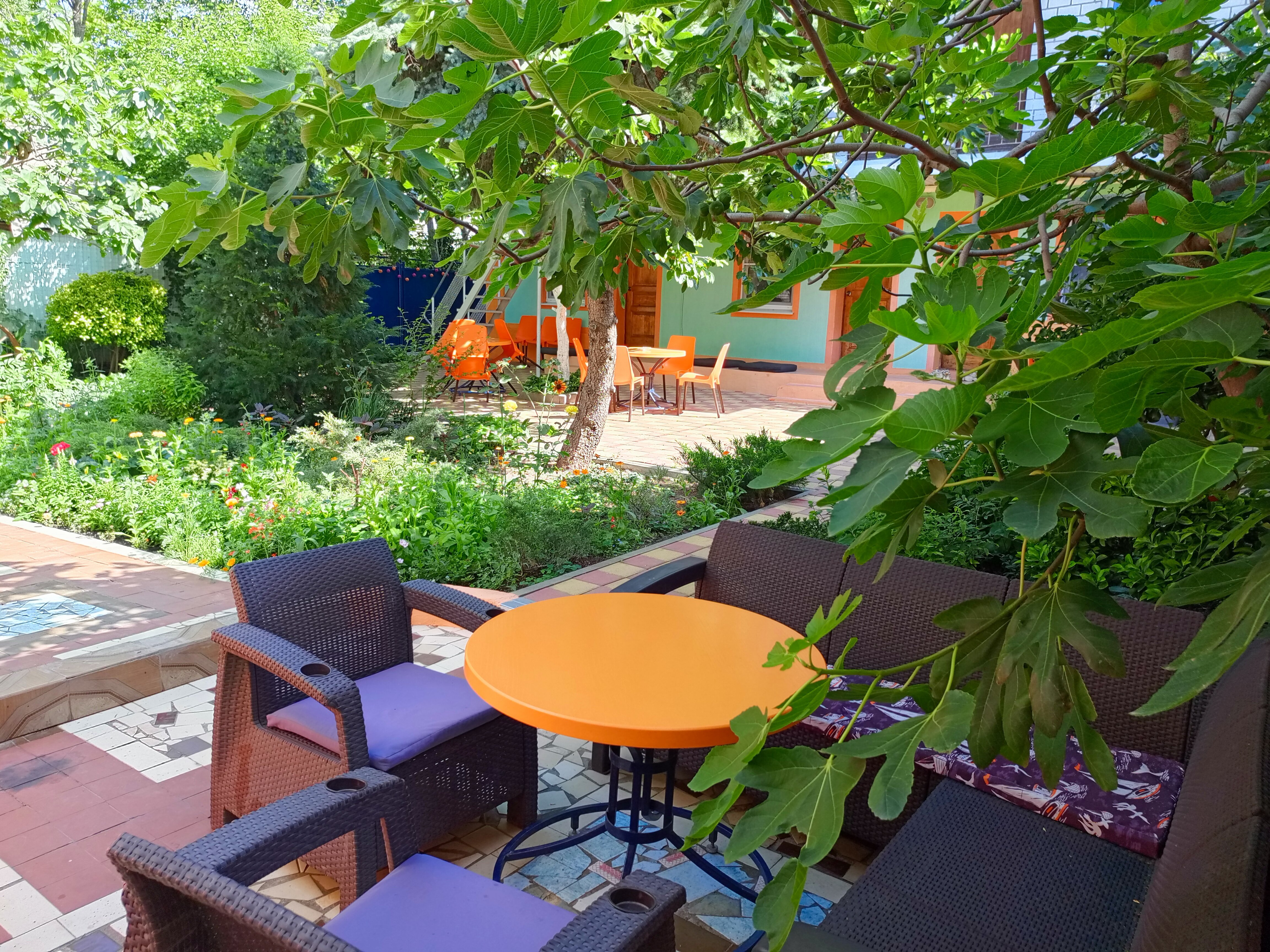 Фото Оранжевые Небеса