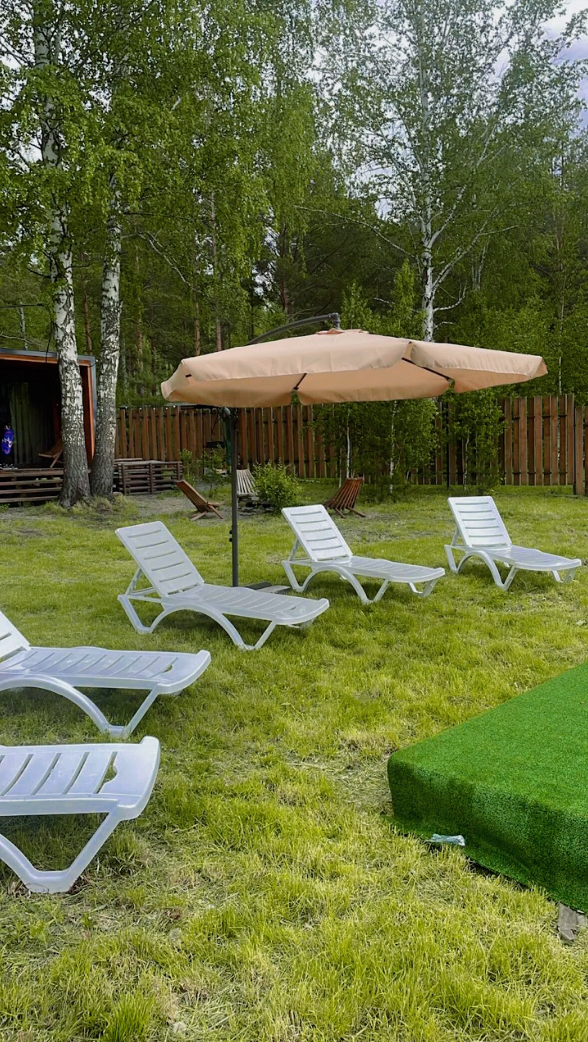 Фото Энергия леса