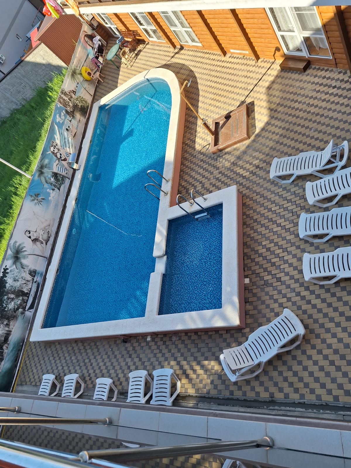 Фото Камела