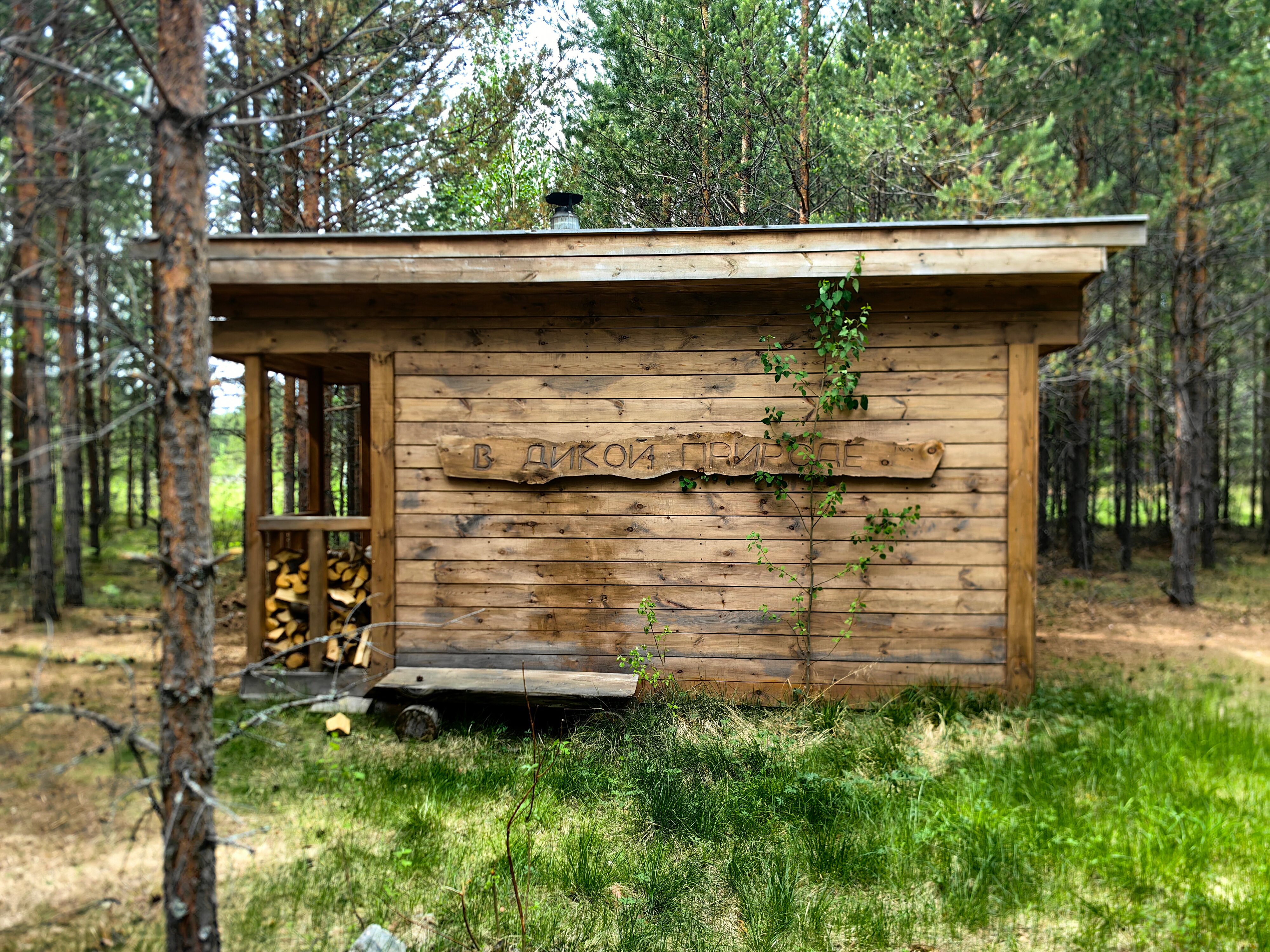 Фото Таежная Рось