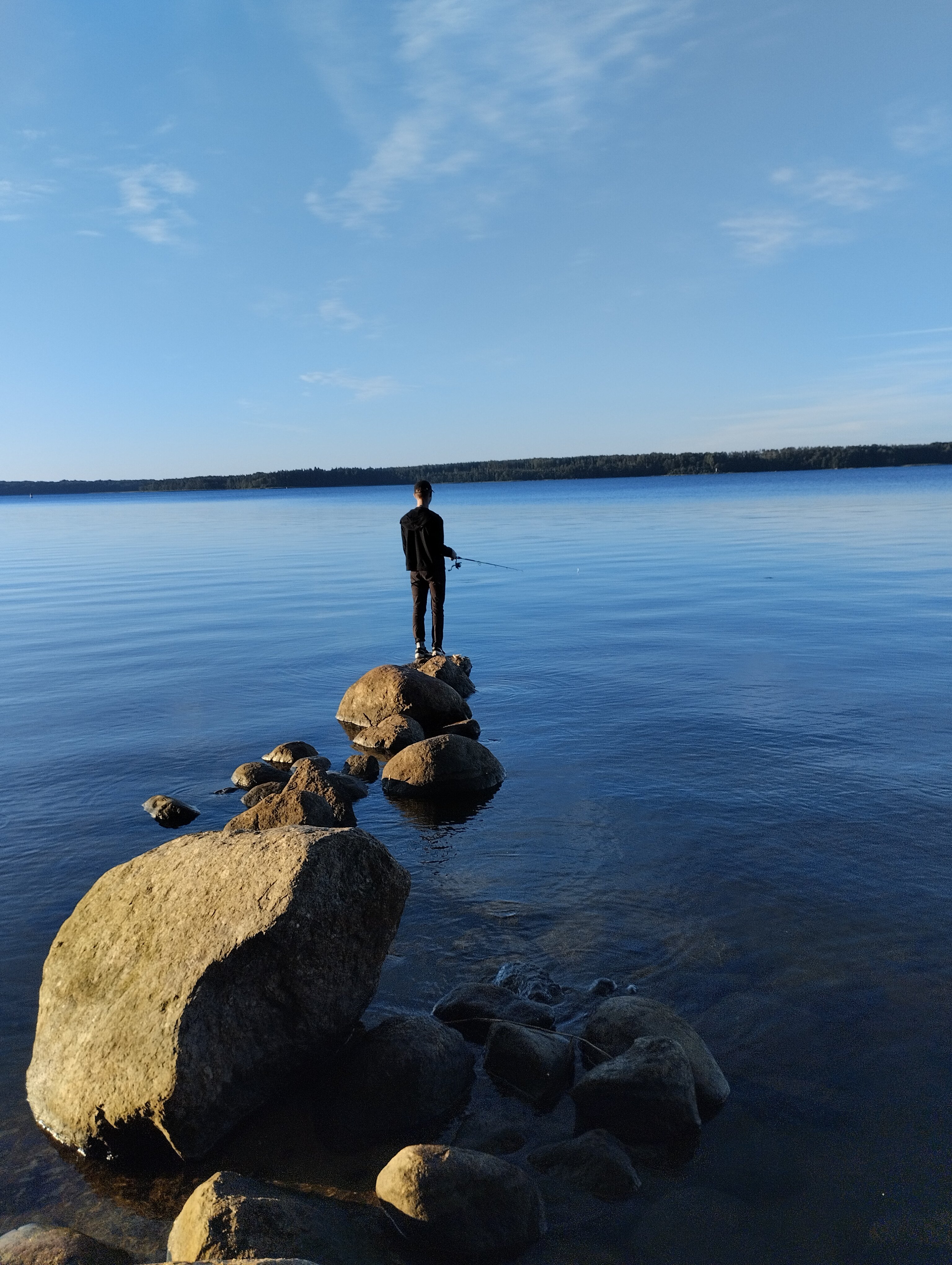 Фото Березки