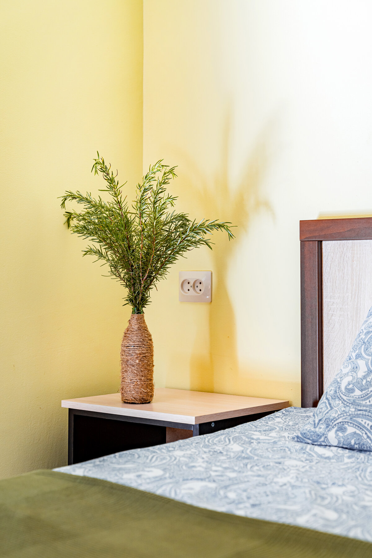 Фото Гостевой дом Кипарис