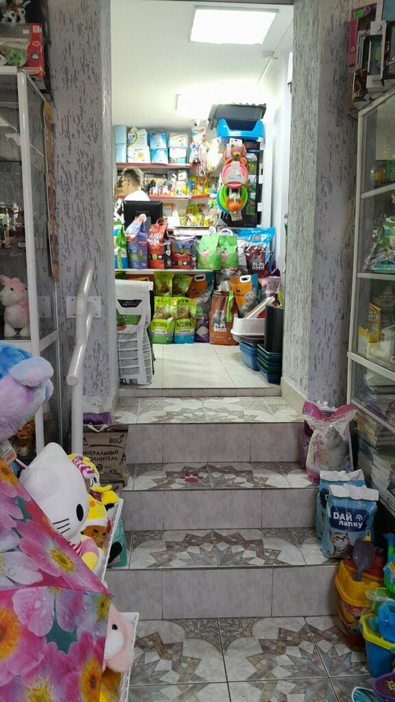Pet shop Myaugavzin, Astana, photo