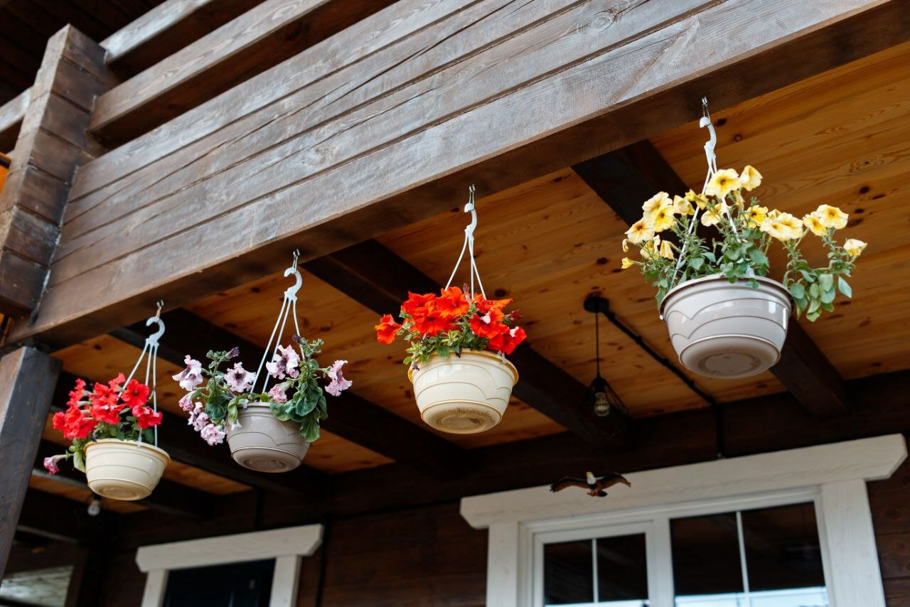 Фото Каприз