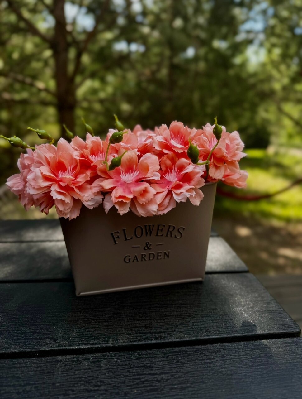 Фото Гастроли