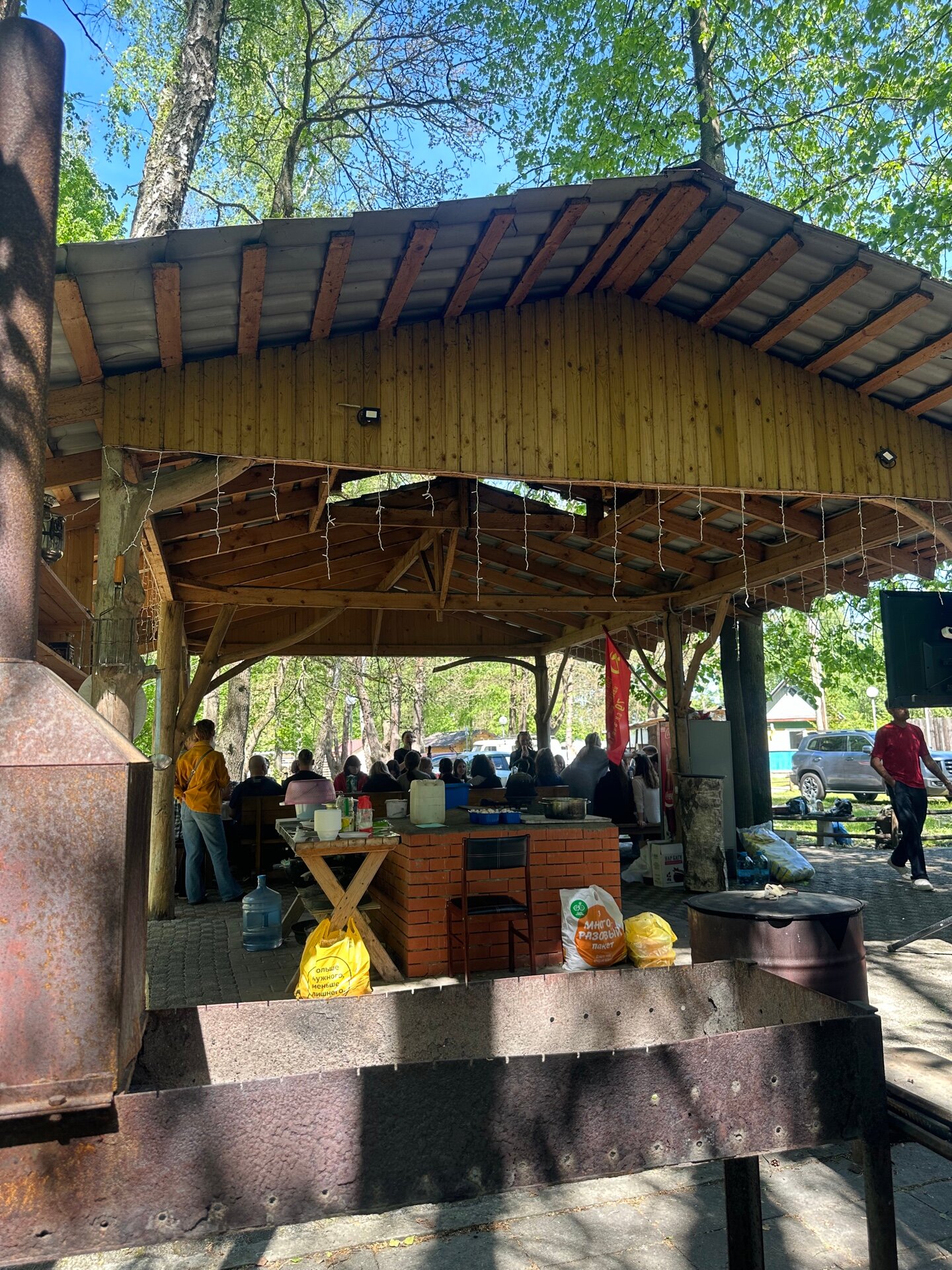 Фото Подберёзовик