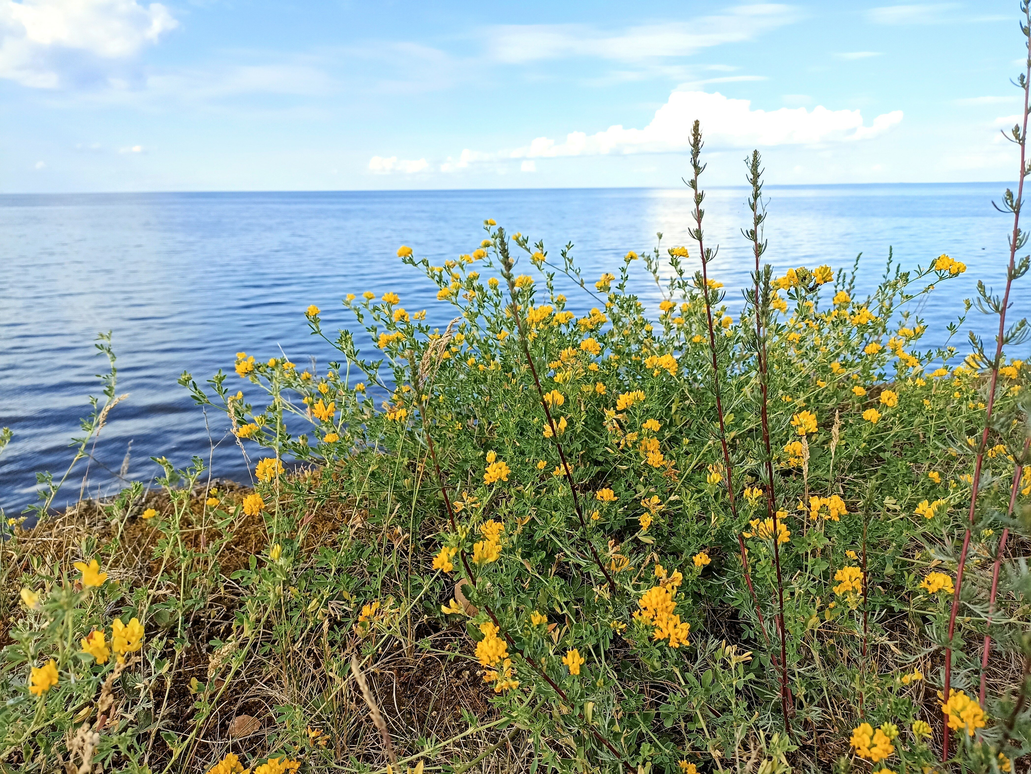 Фото Ильмера