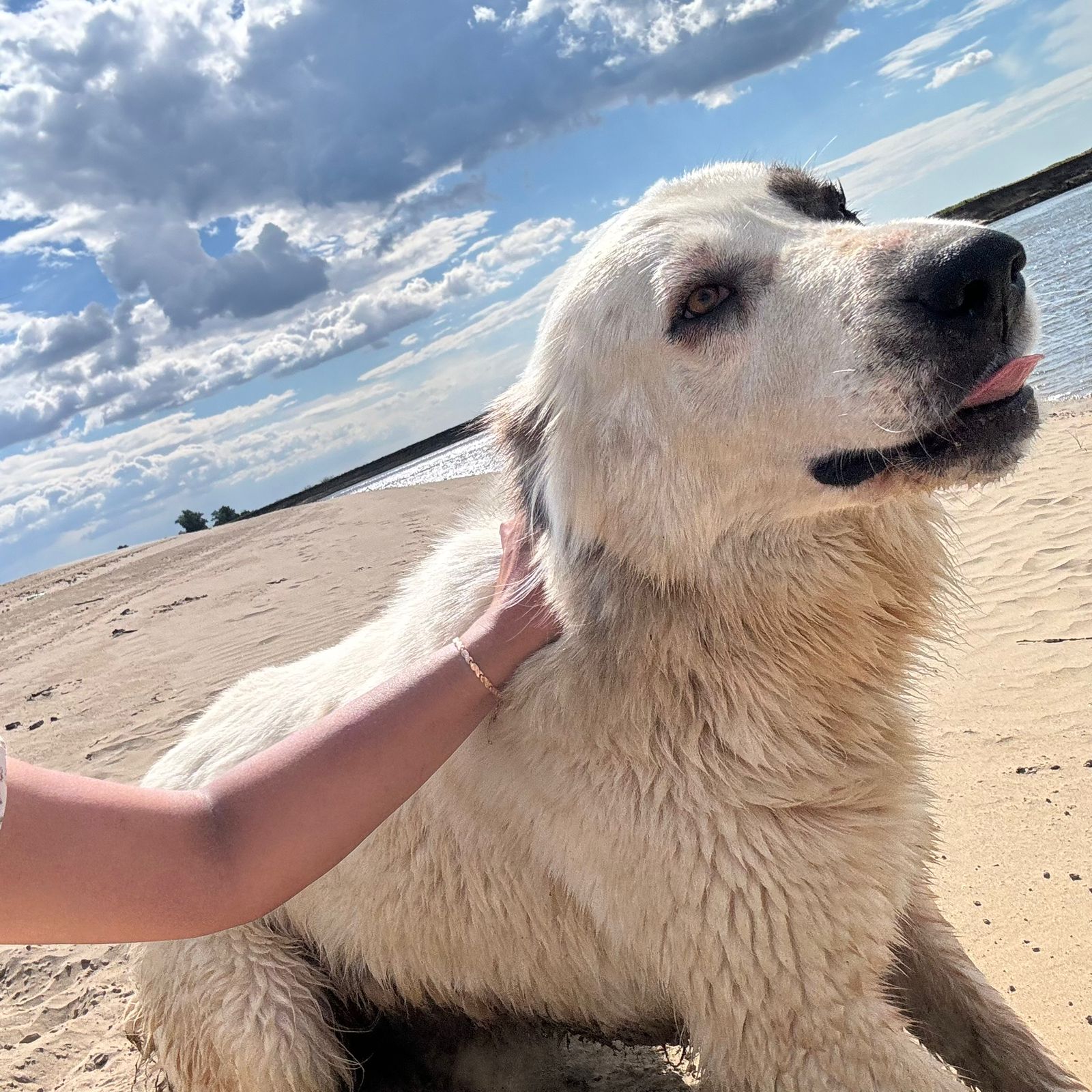 Фото Углянское