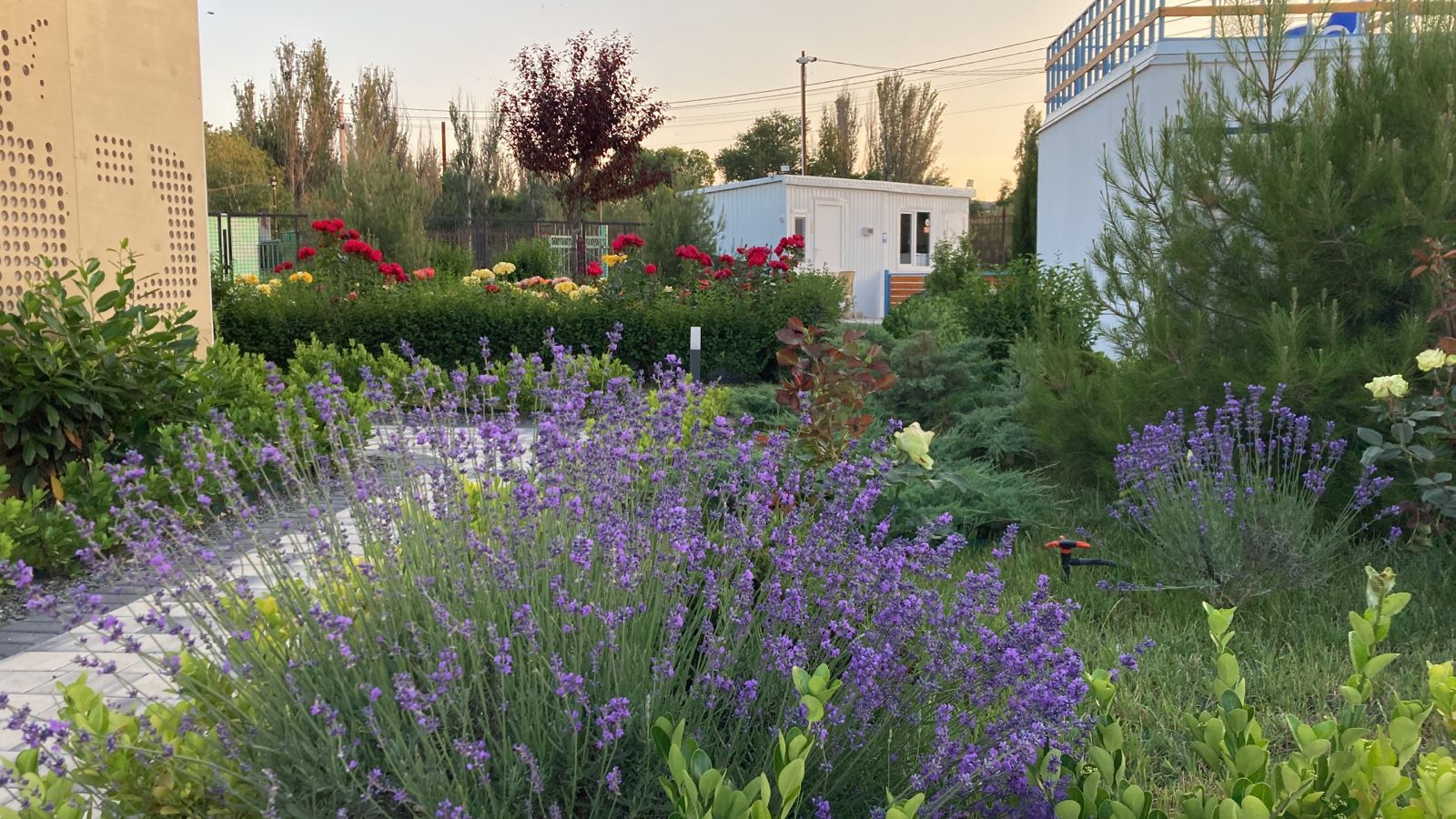 Фото Отель Санторини