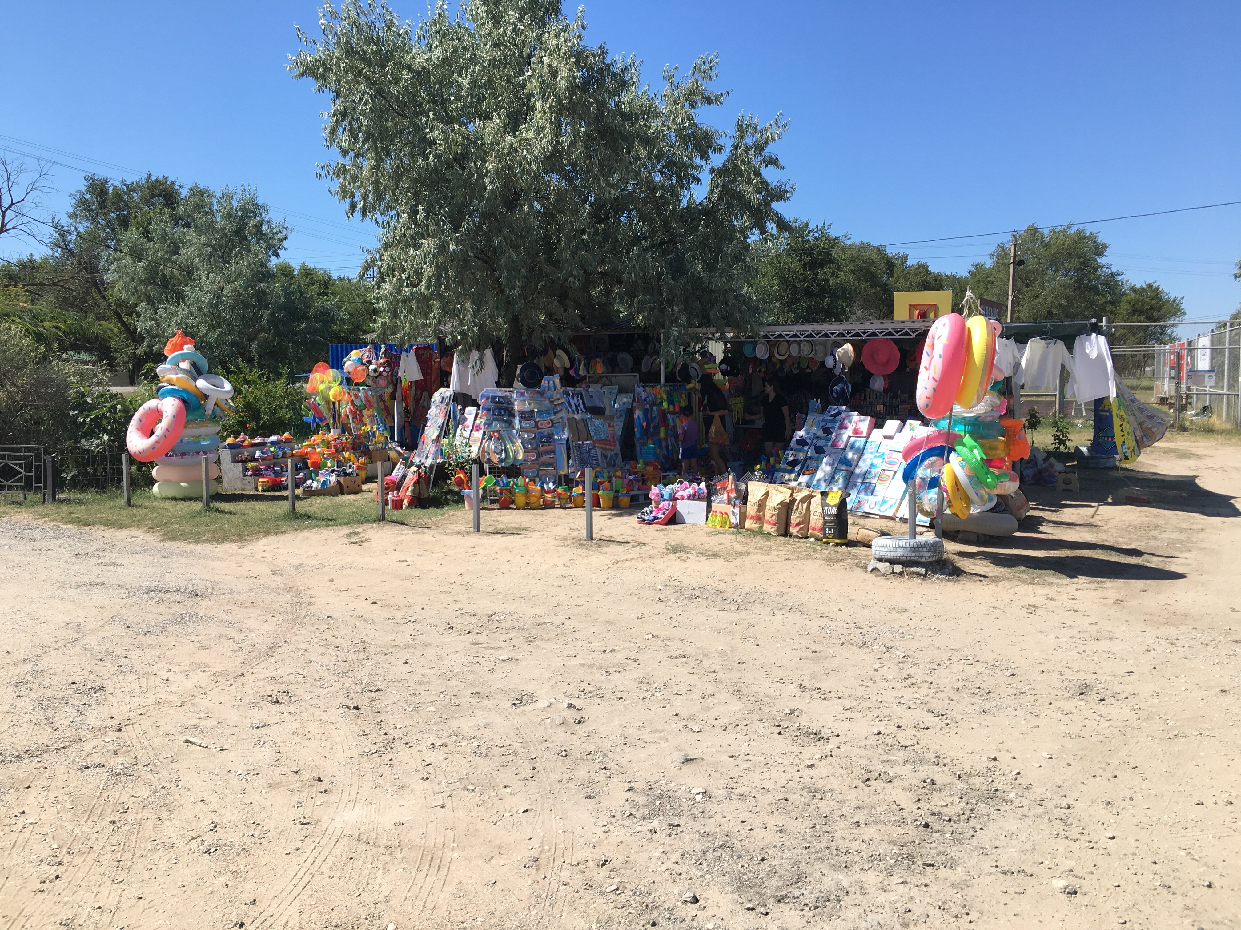 Фото Аврора