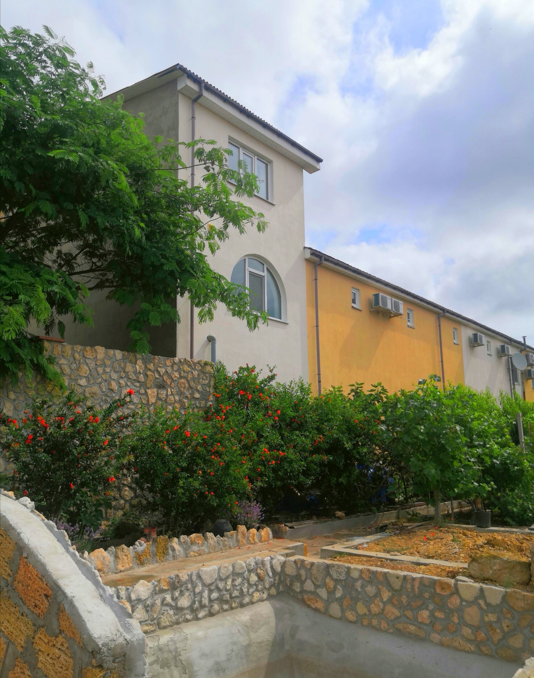 Фото Роза ветров