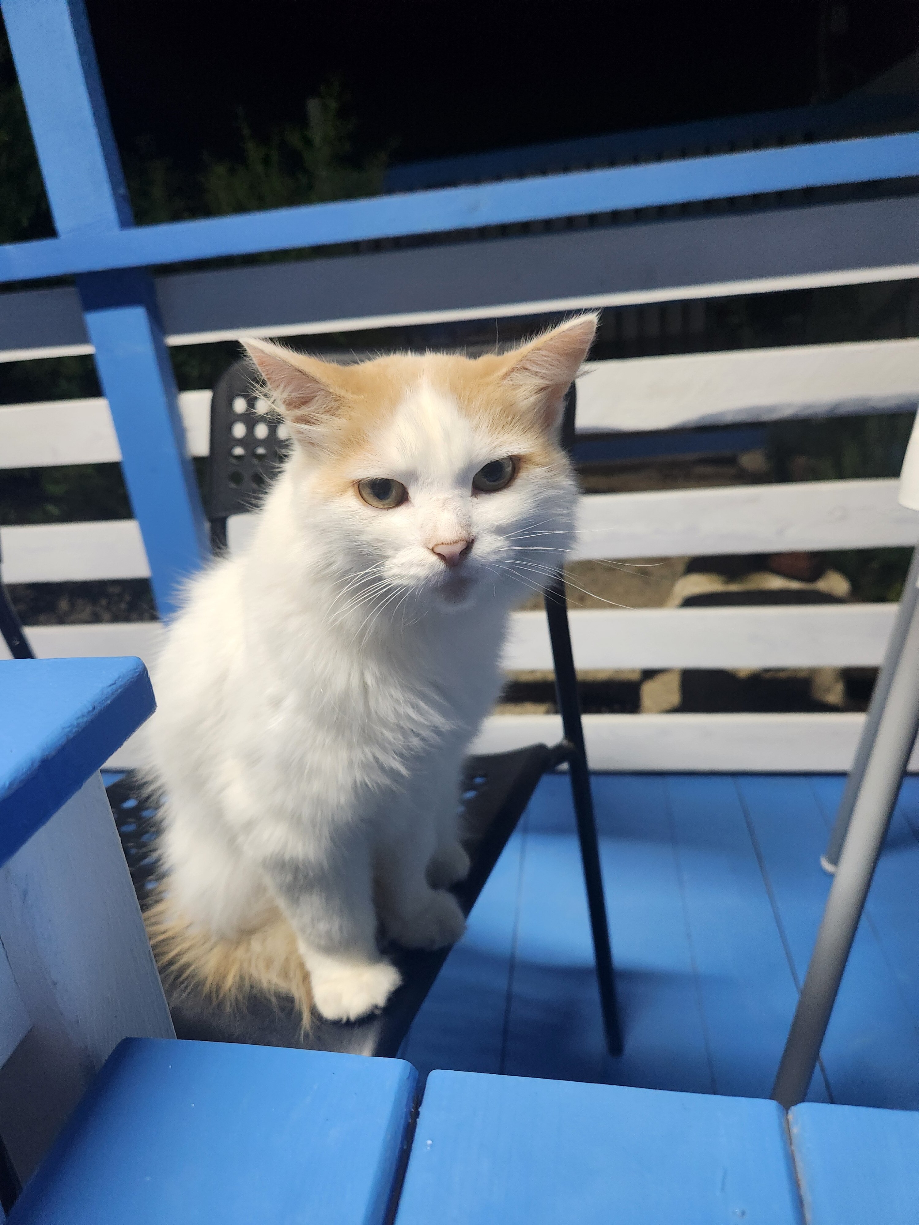 Фото 7 Ветров