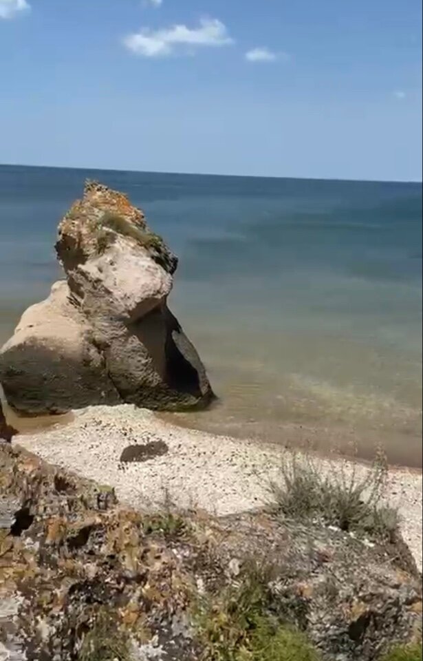 Фото Апартаменты Гости