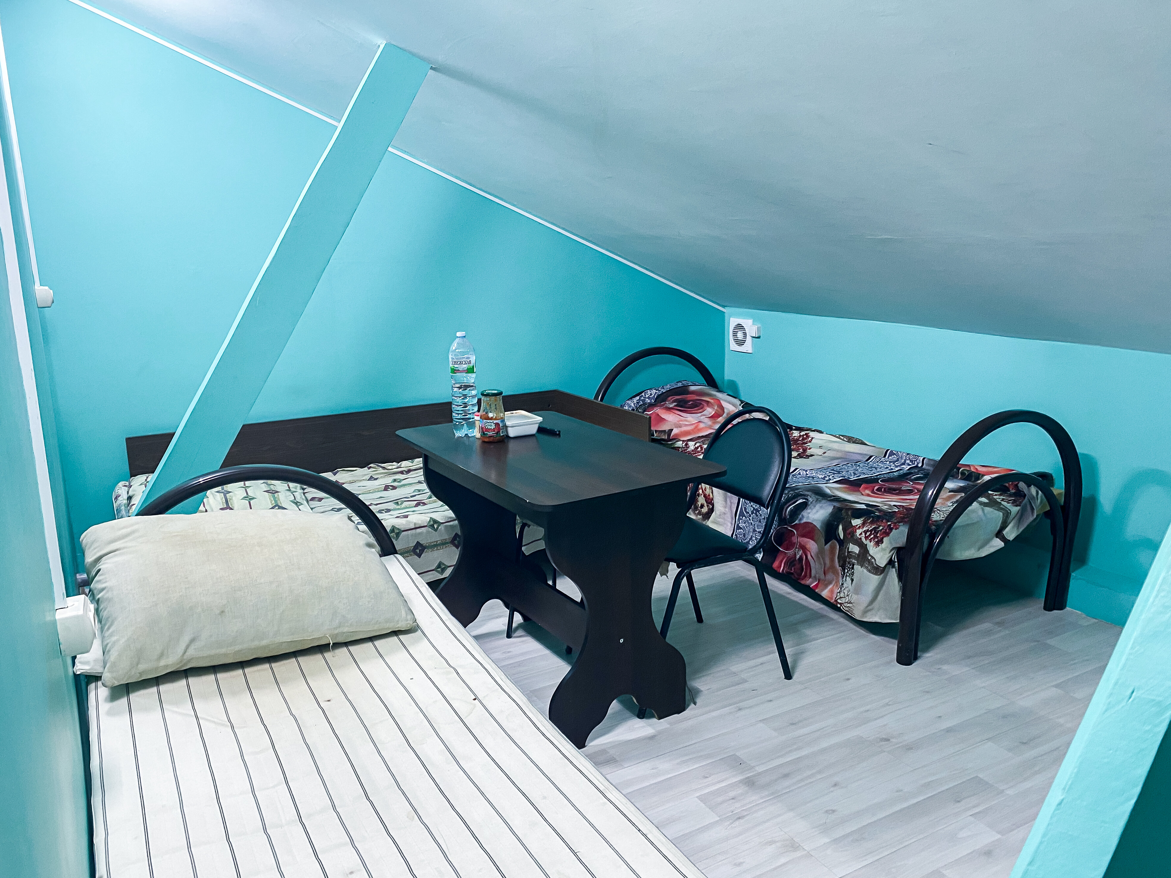 Фото Барашки