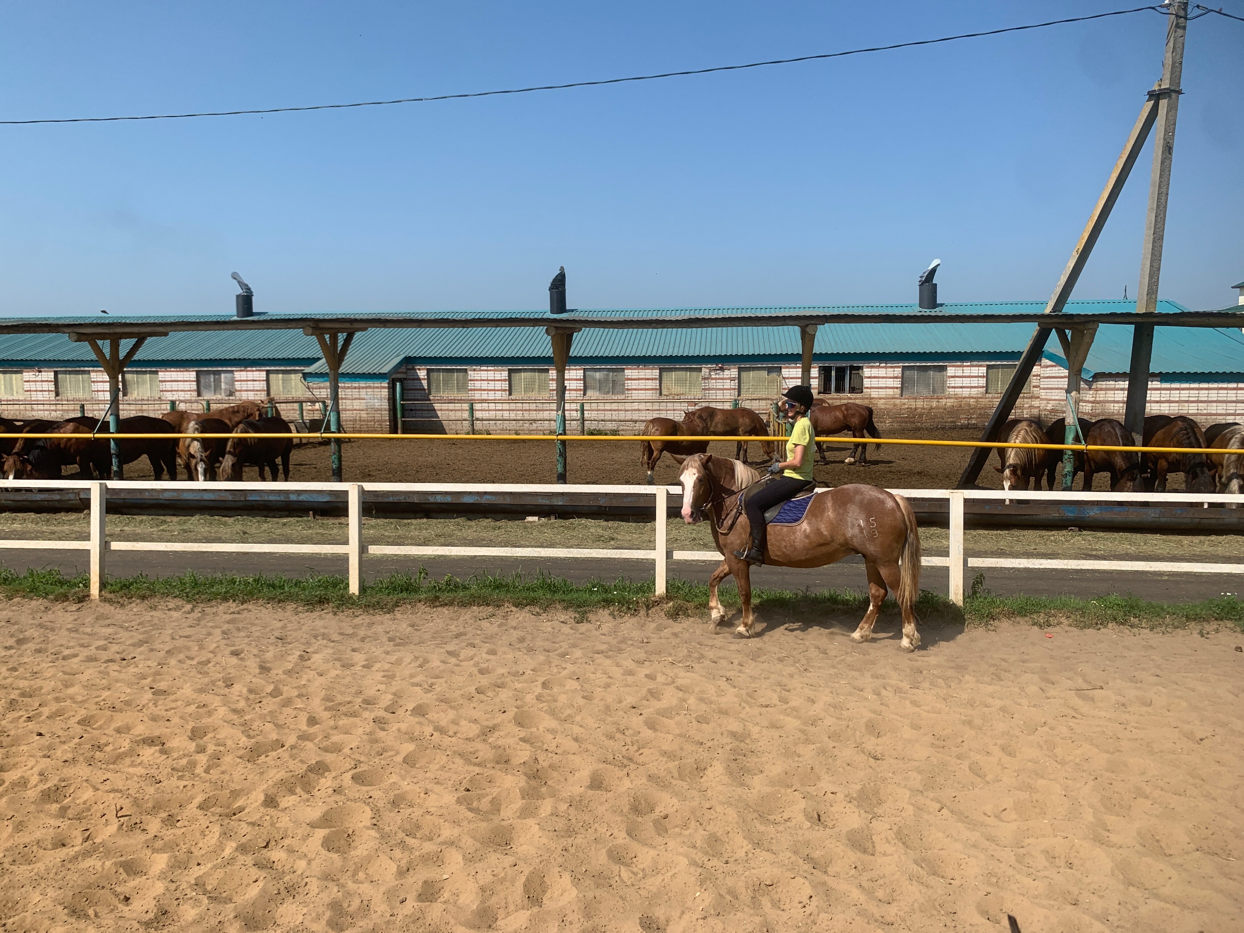 Фото Кумыска