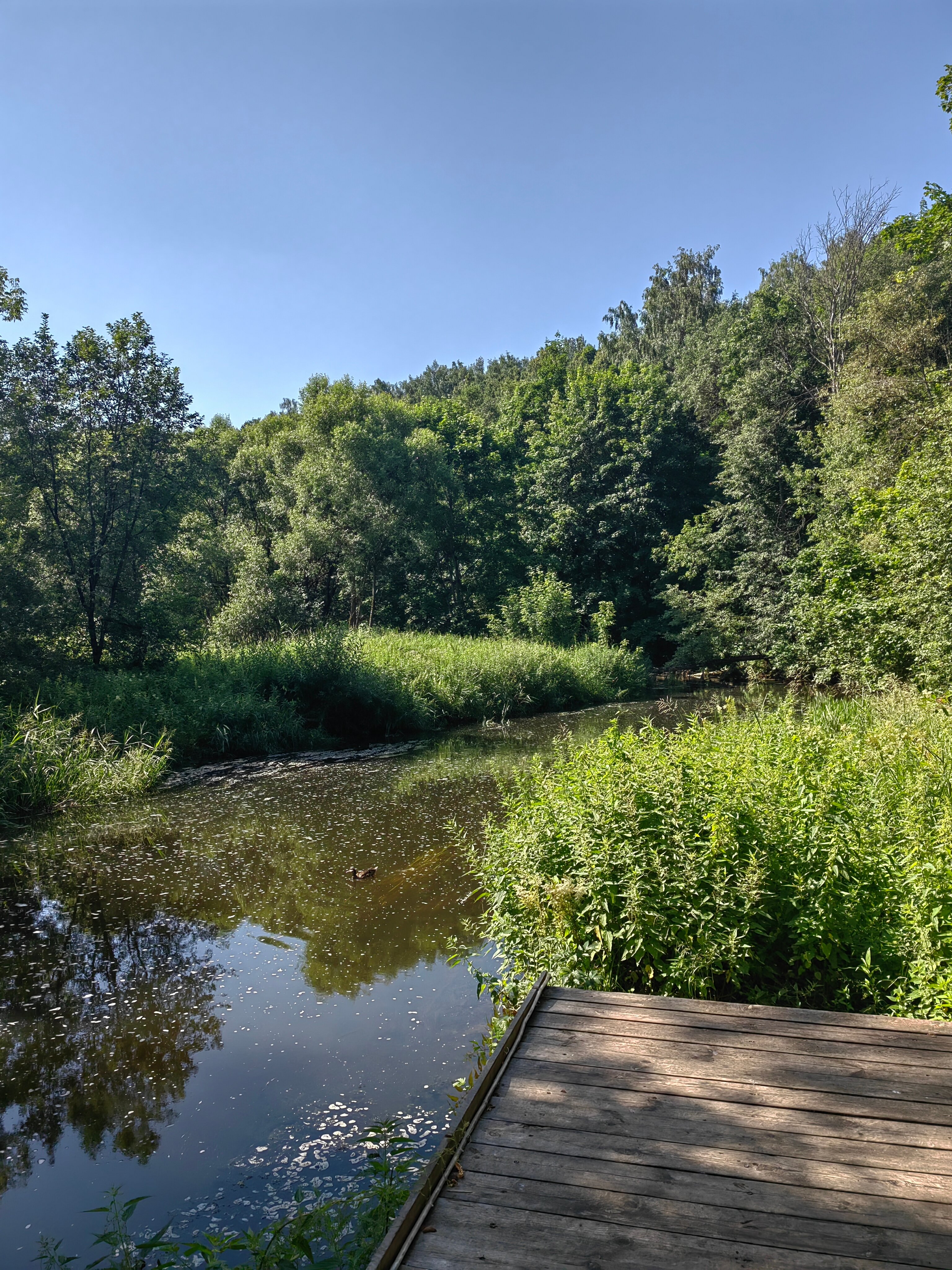 Фото Дом на реке