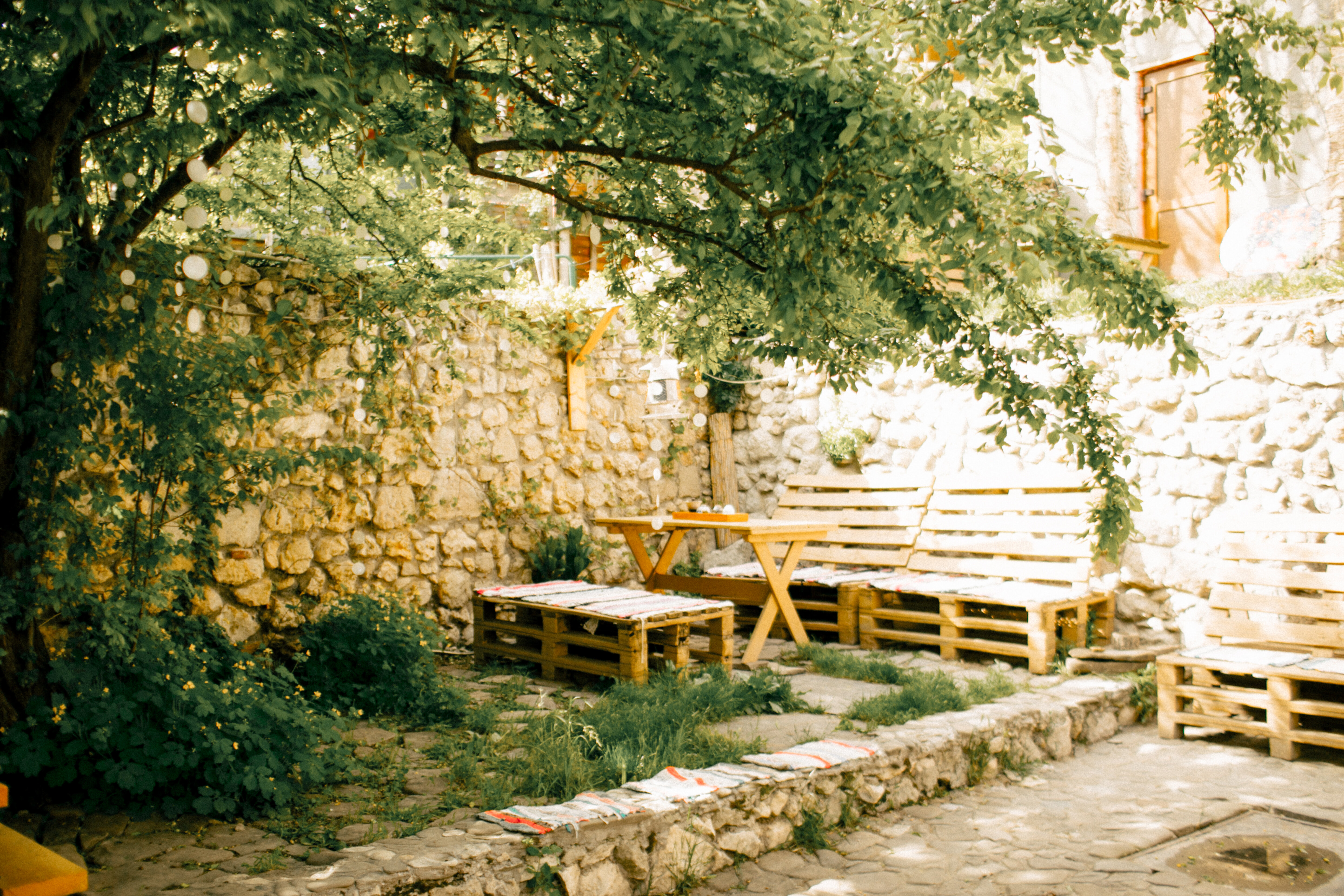 Фото Лисьи сны