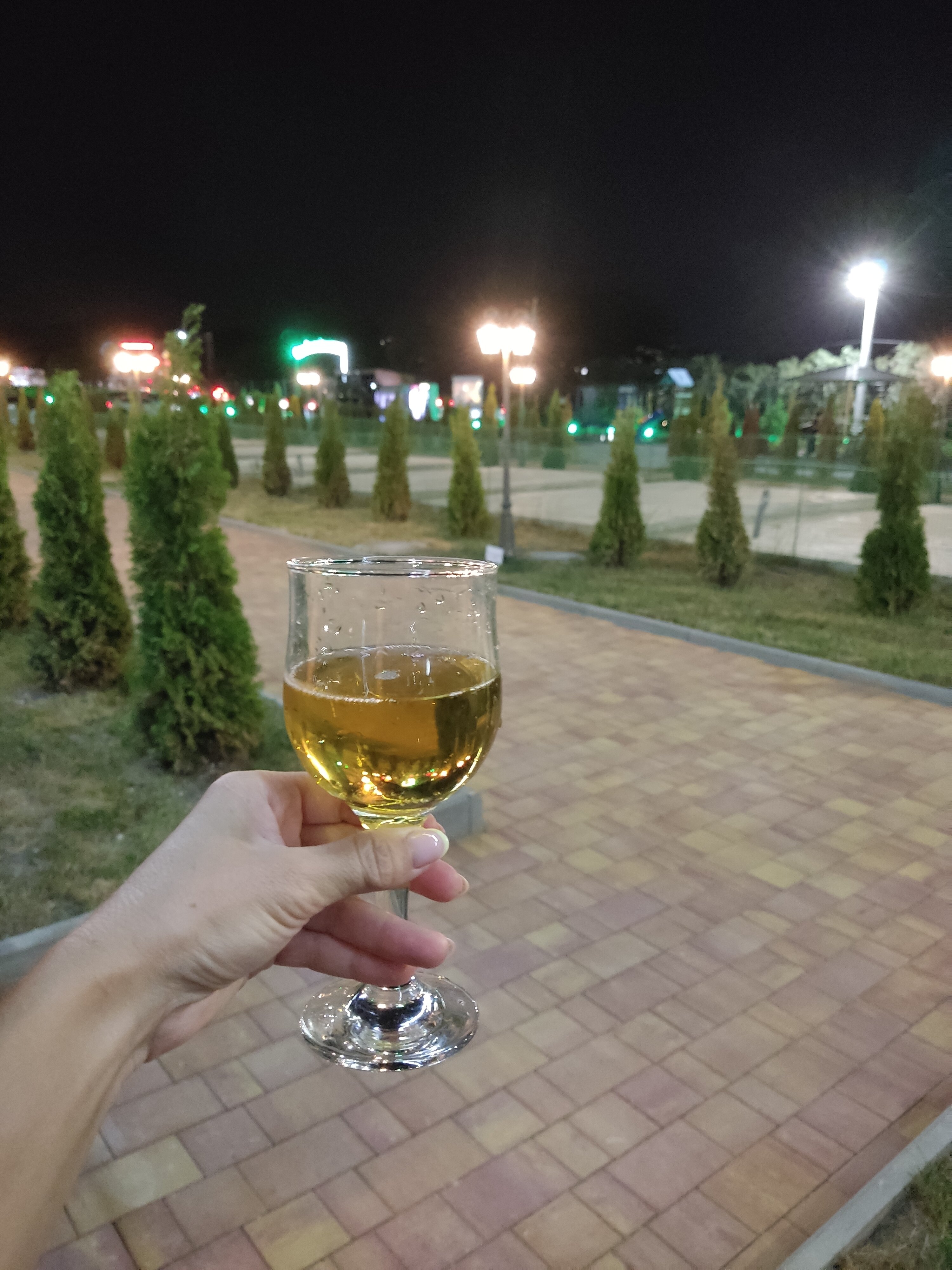 Фото Зеленый двор