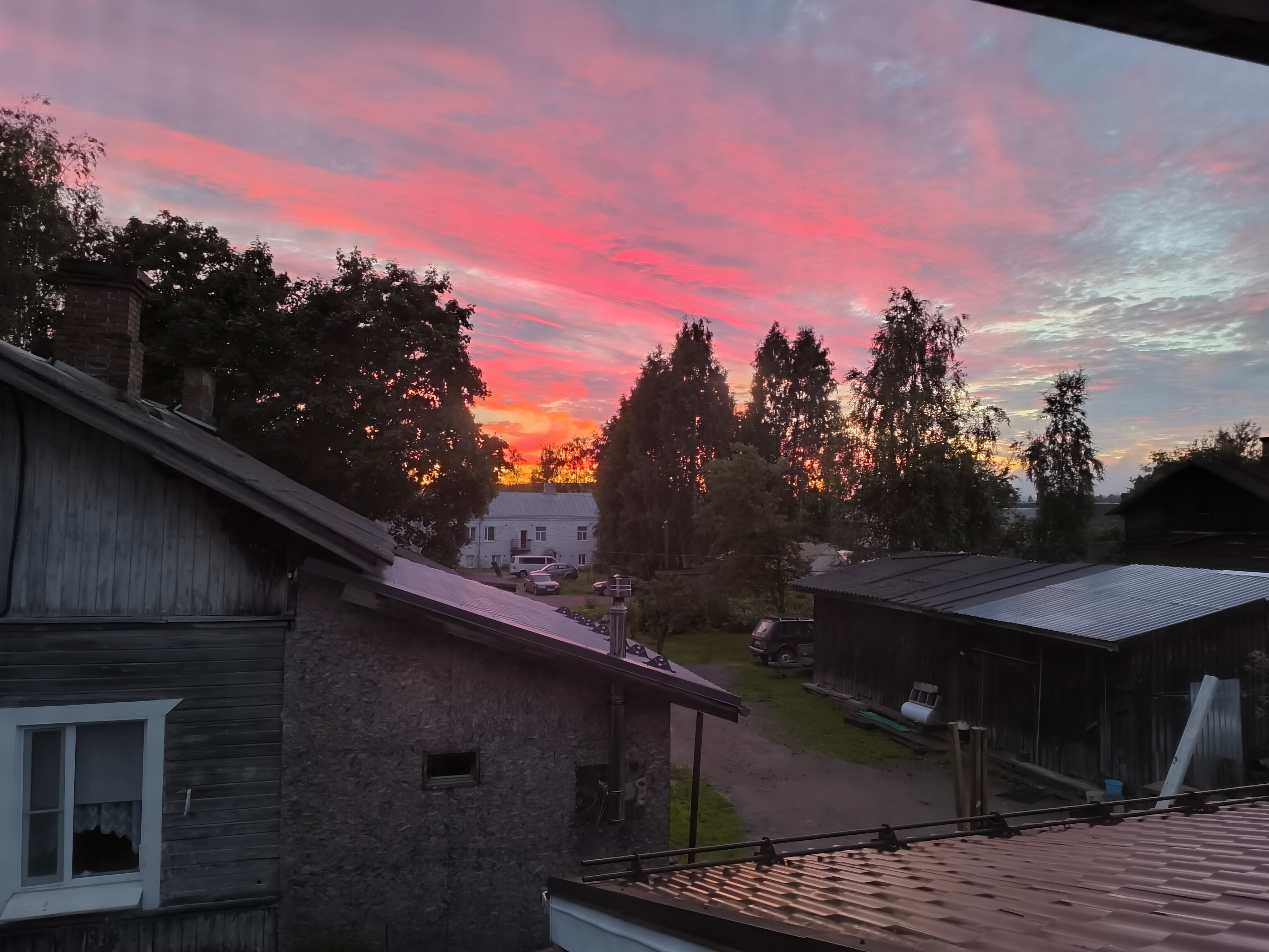 Фото Северный олень