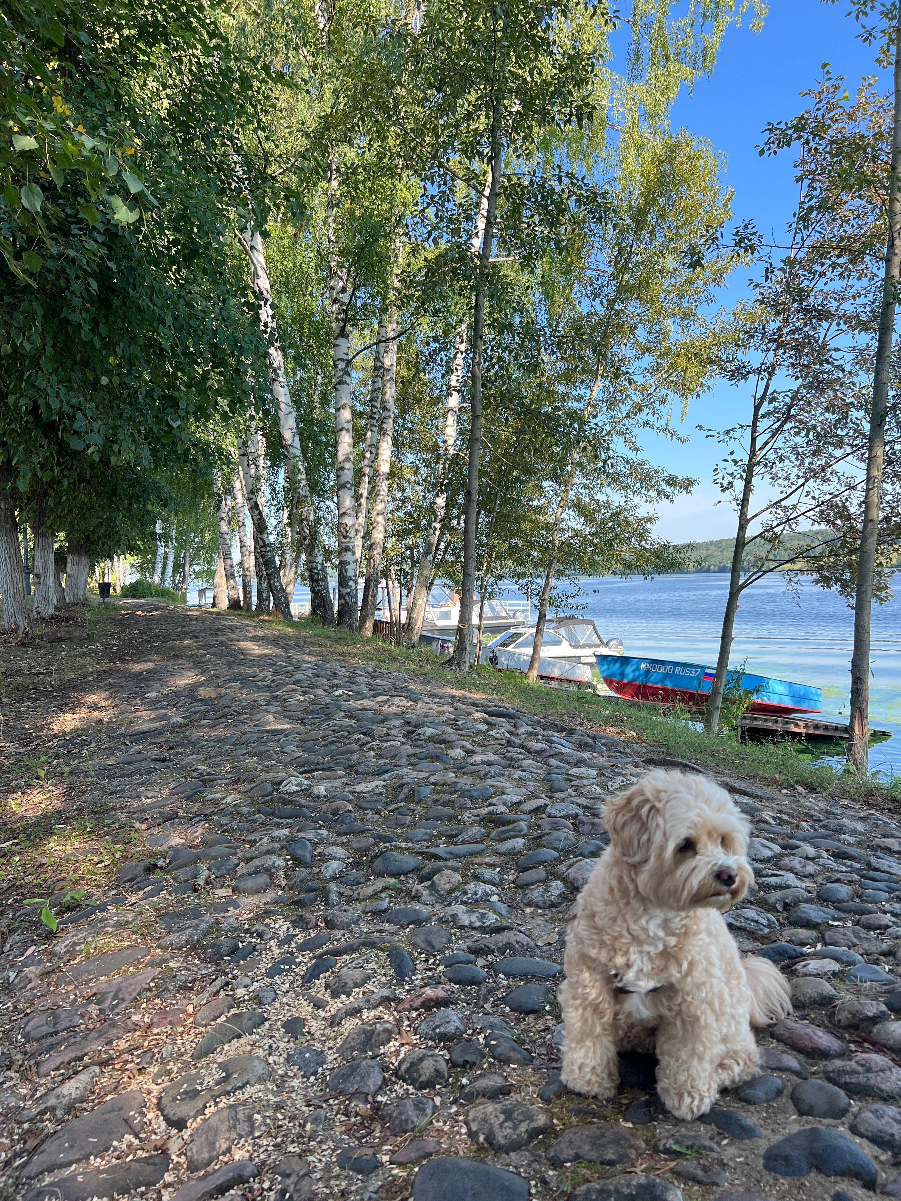 Фото Дом Шемякина