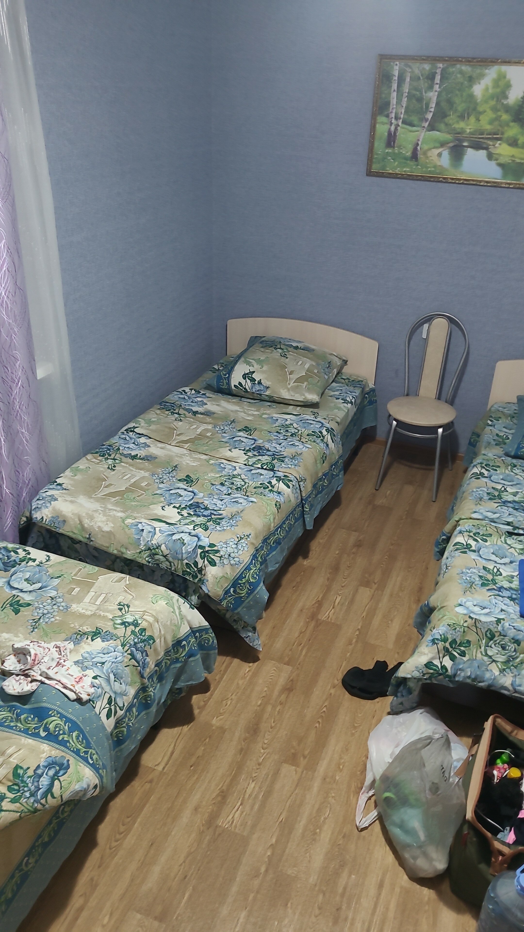 Фото Березка