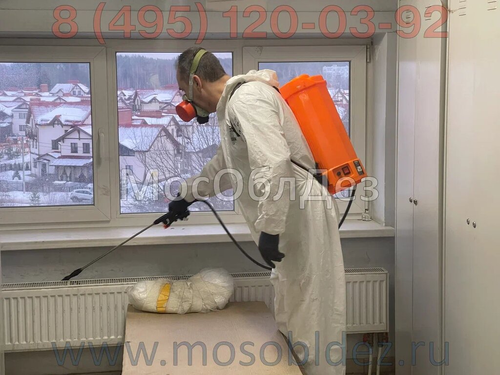 Disinfection, disinsection, deratization МосОблДез, Moscow, photo