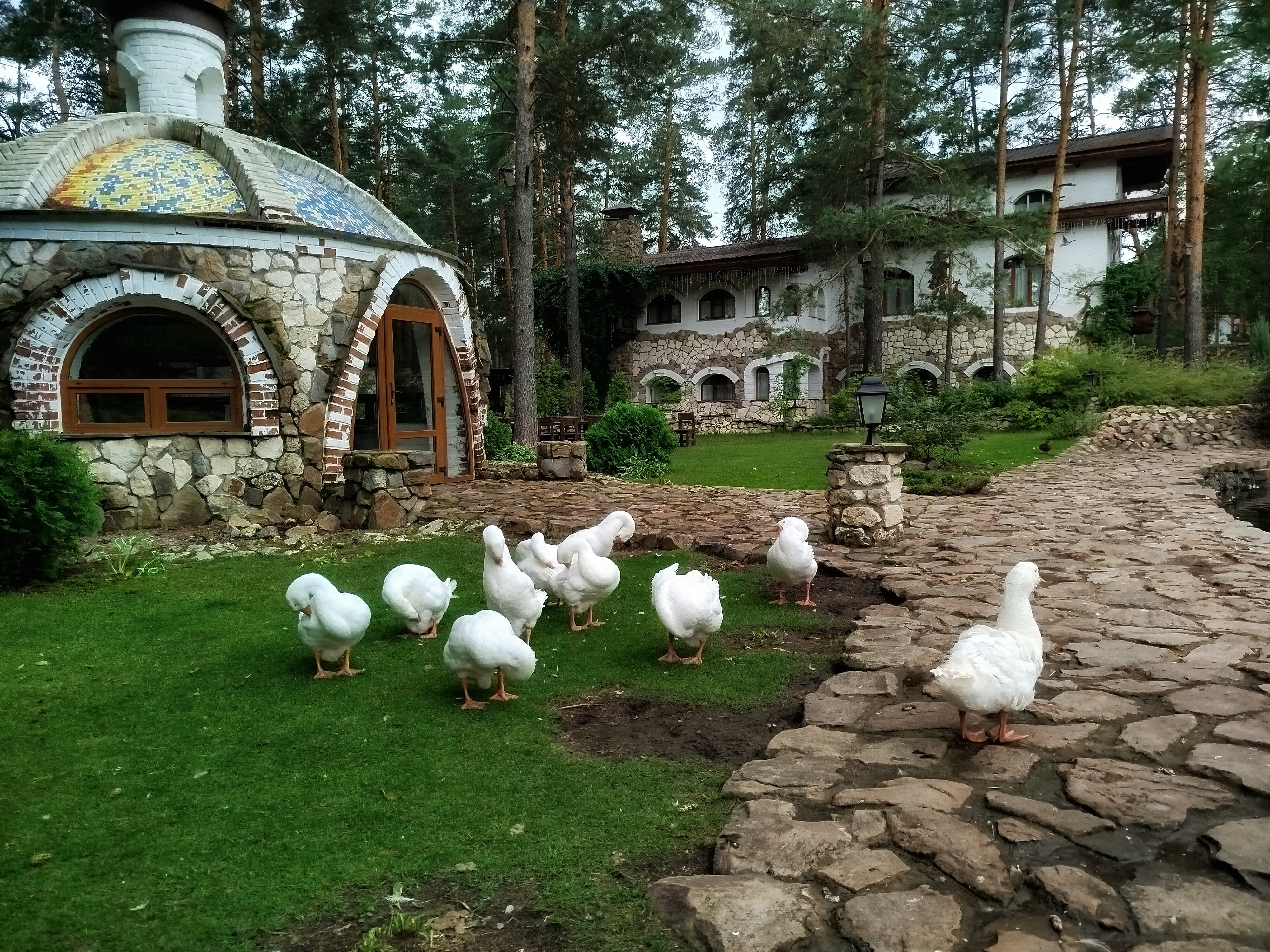 Фото Усадьба Мещёрская