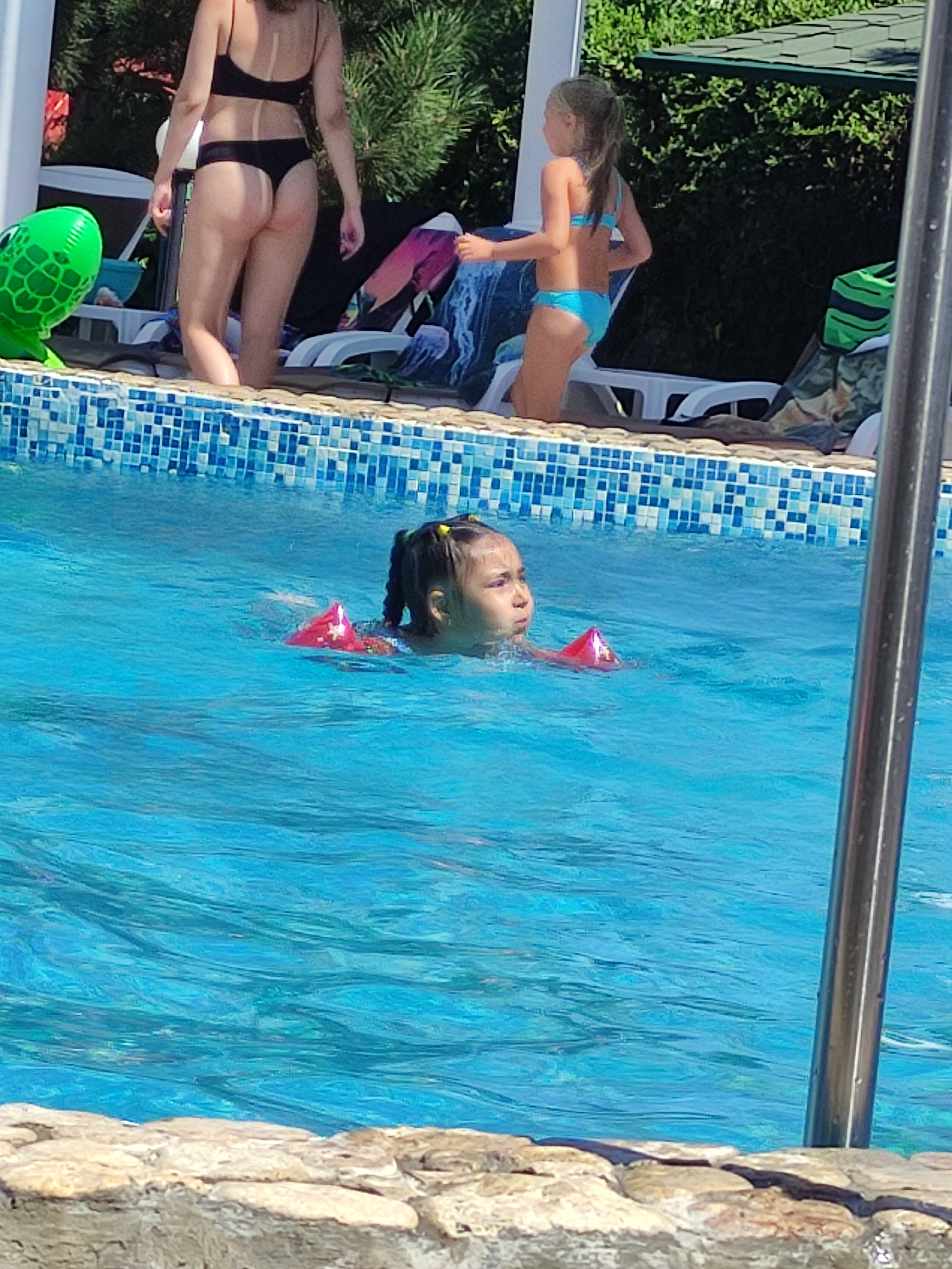 Фото Альбатрос