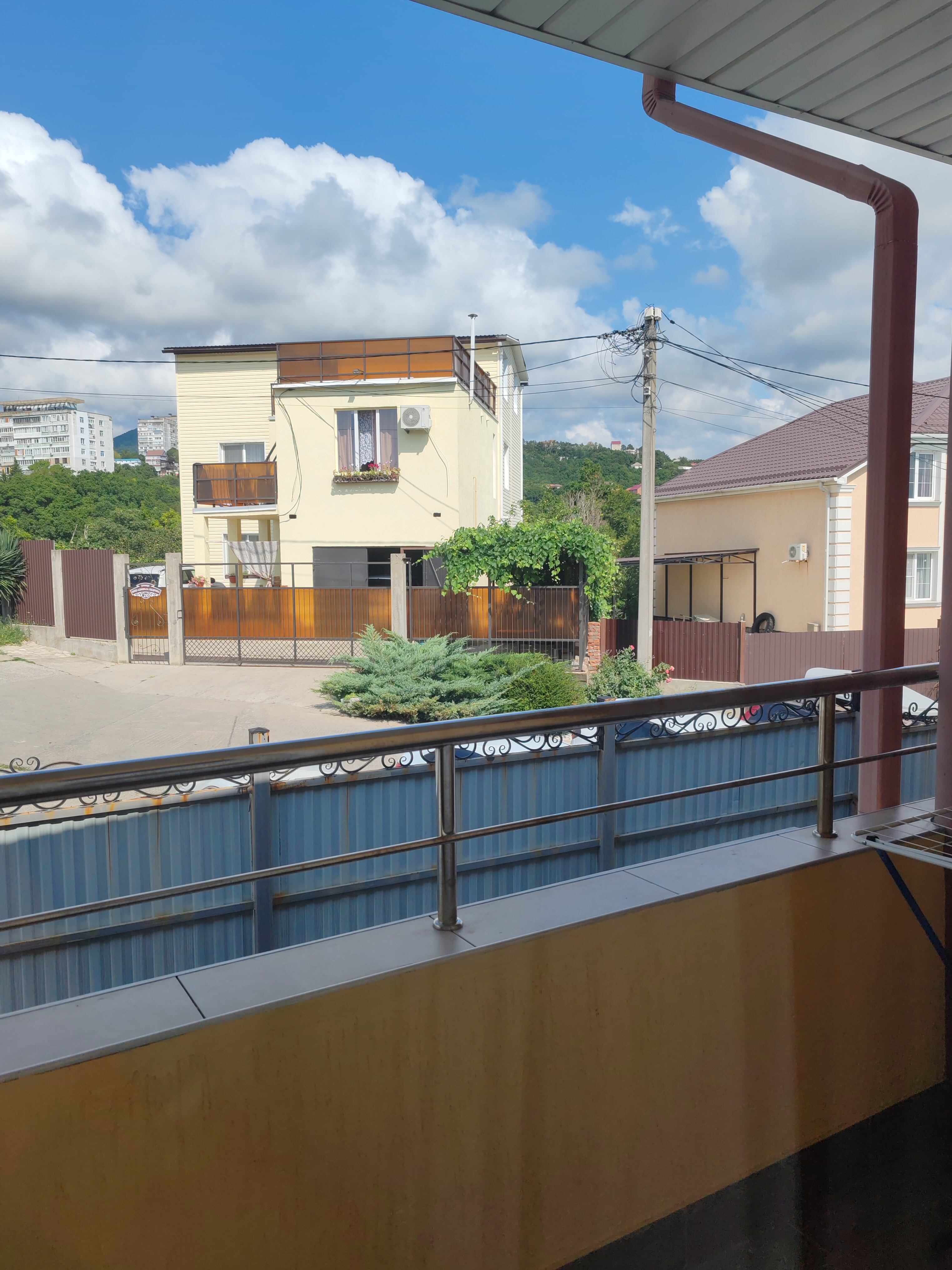 Фото Багира