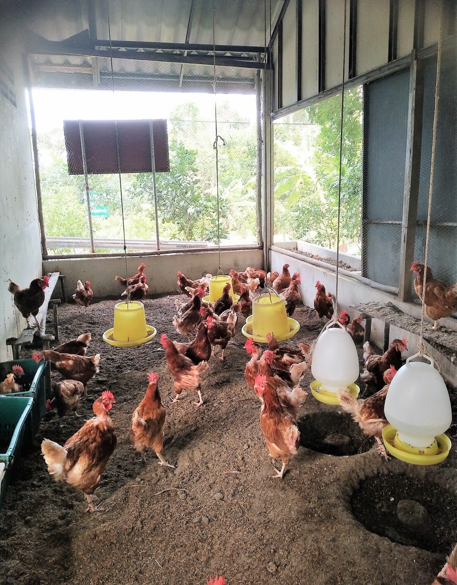 Фото Somphoch Garden