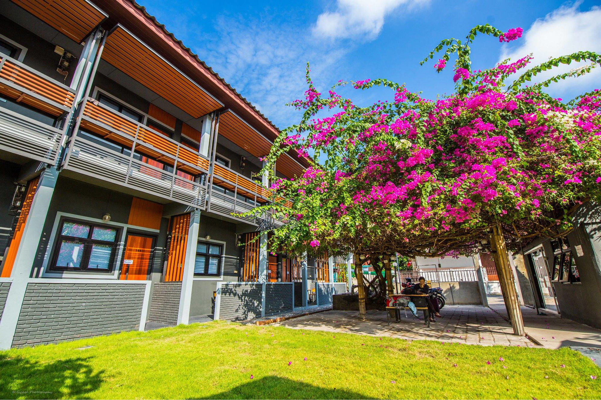 Фото отеля 1