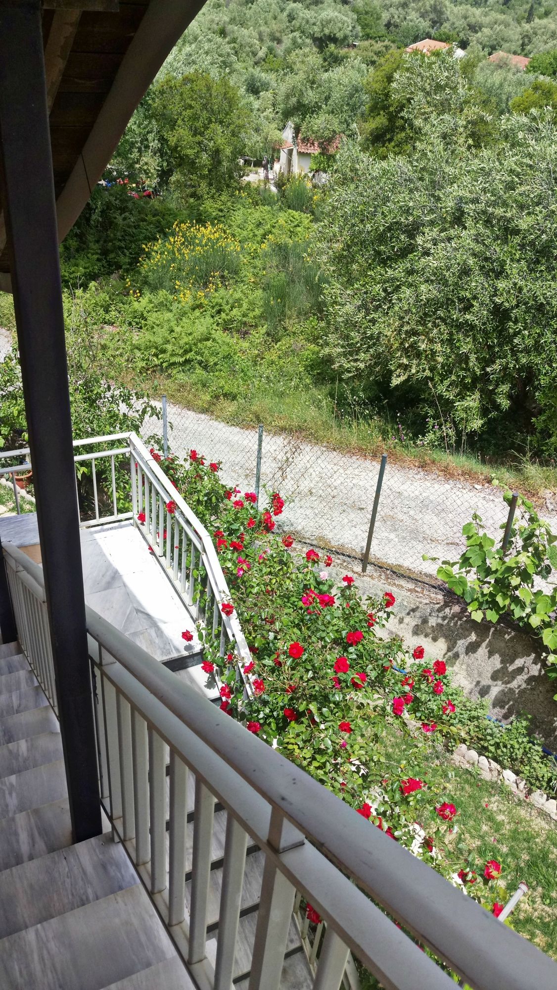 Фото Corfu Villa Rainbow