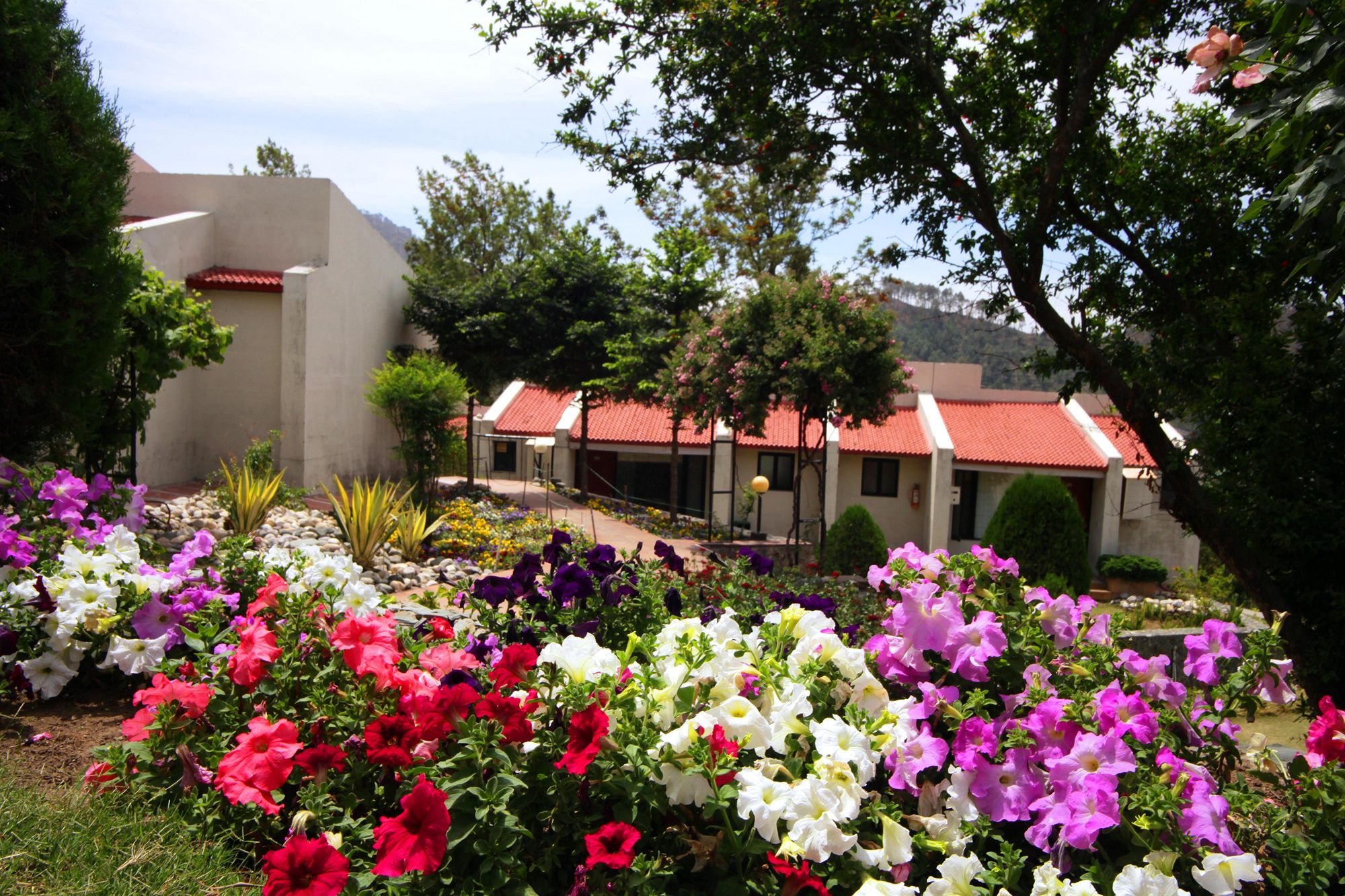 Фото Country Inn Nature Resort Bhimtal