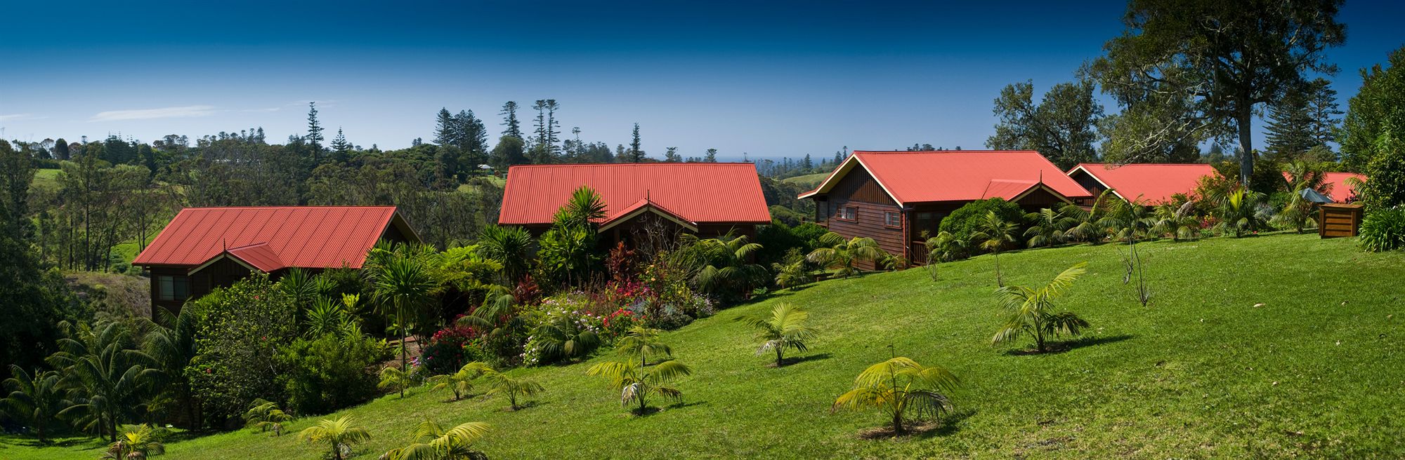 Фото Jacaranda Park Holiday Cottages