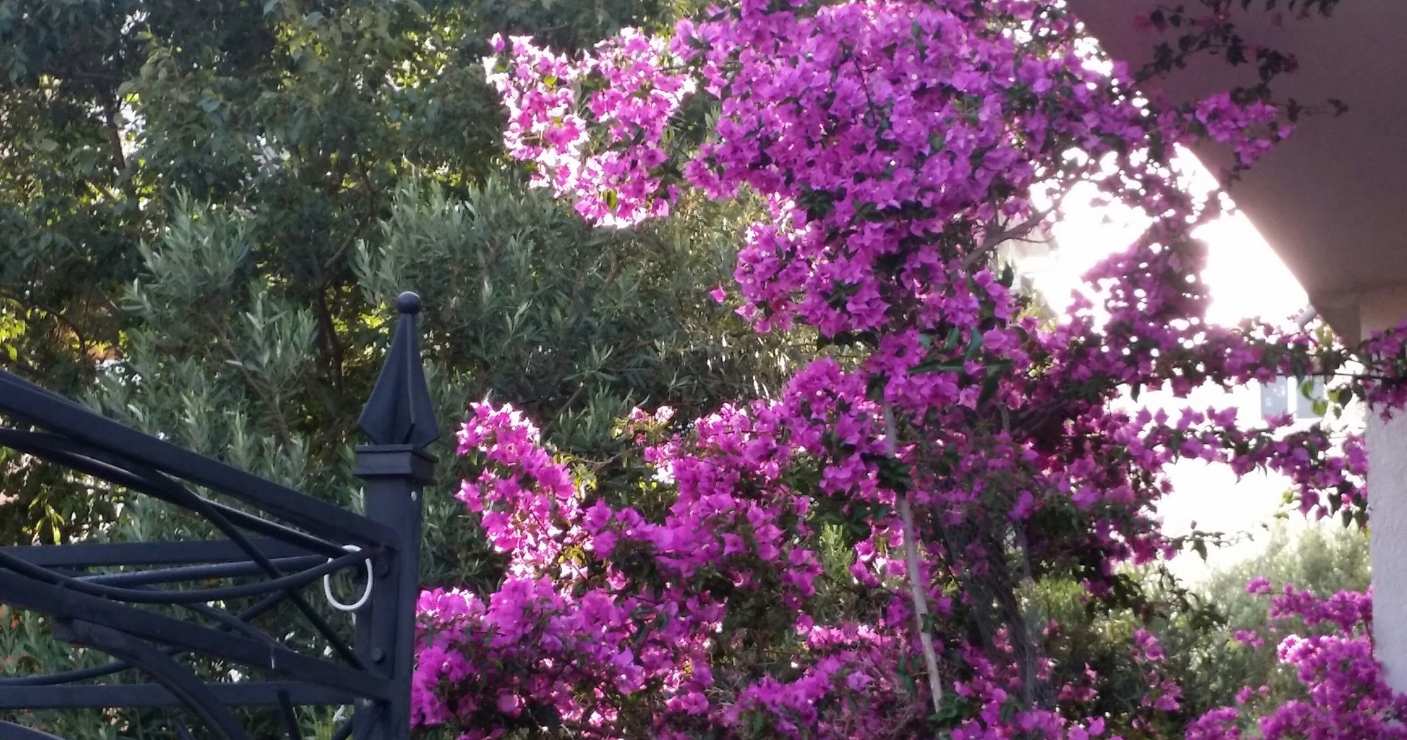 Фото Villa Sandra Hvar