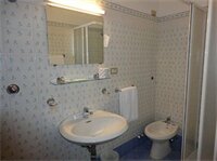 Фото Hotel Delle Camelie