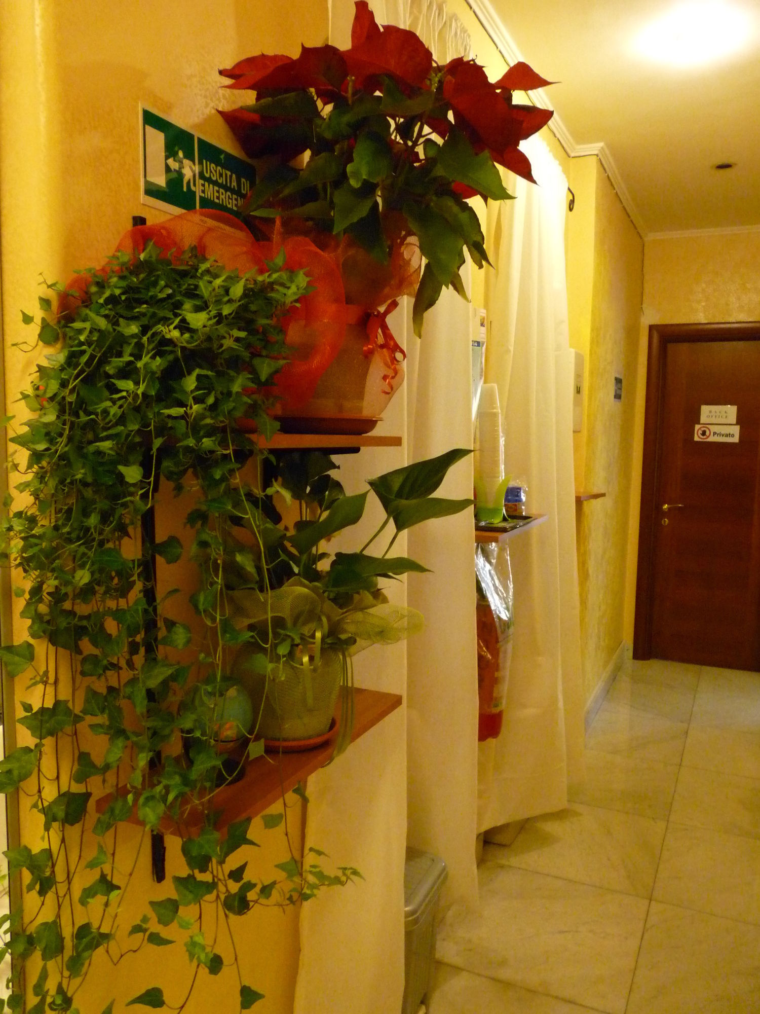 Фото Daplace - Arena House