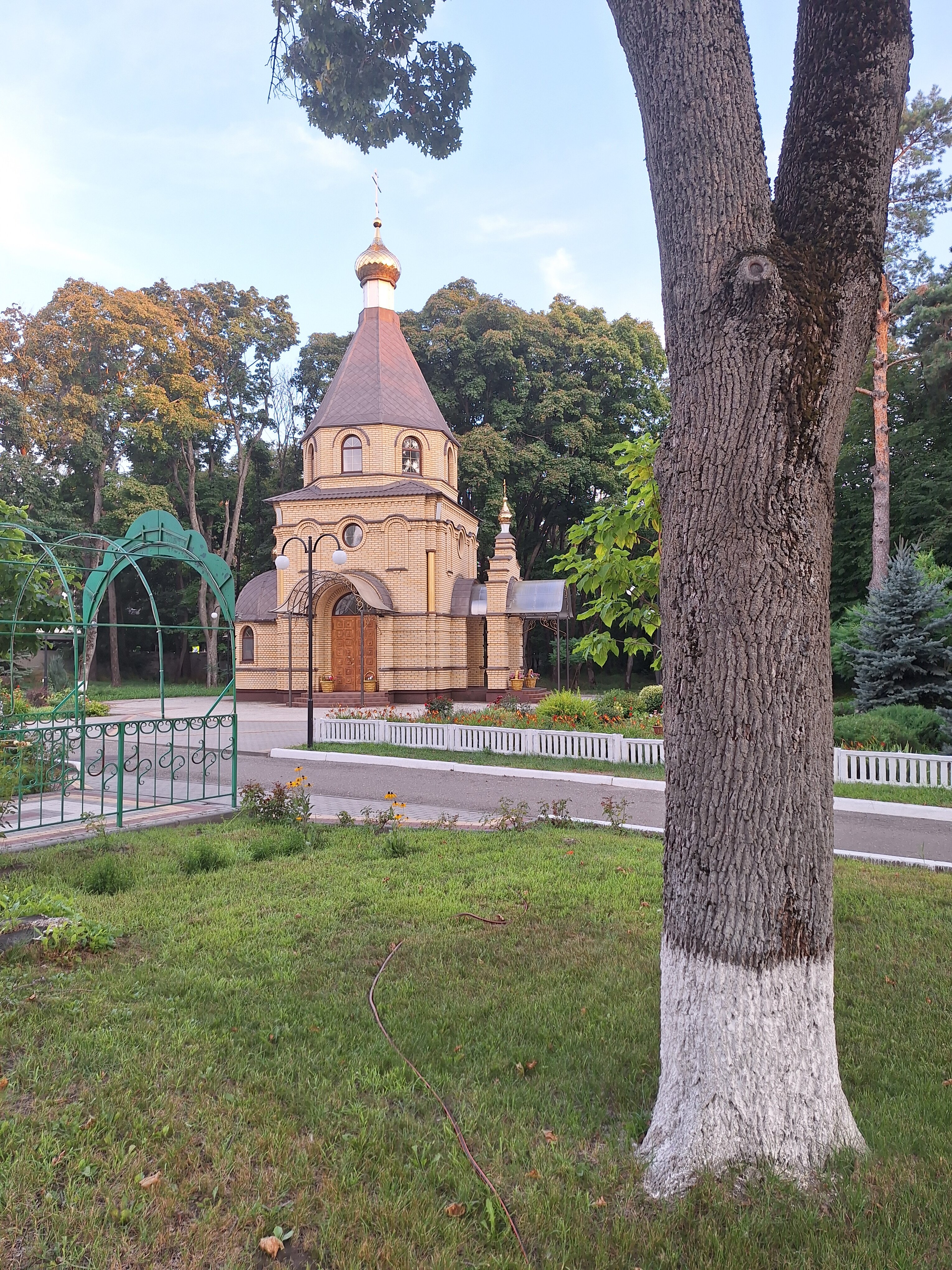 Фото Икорец