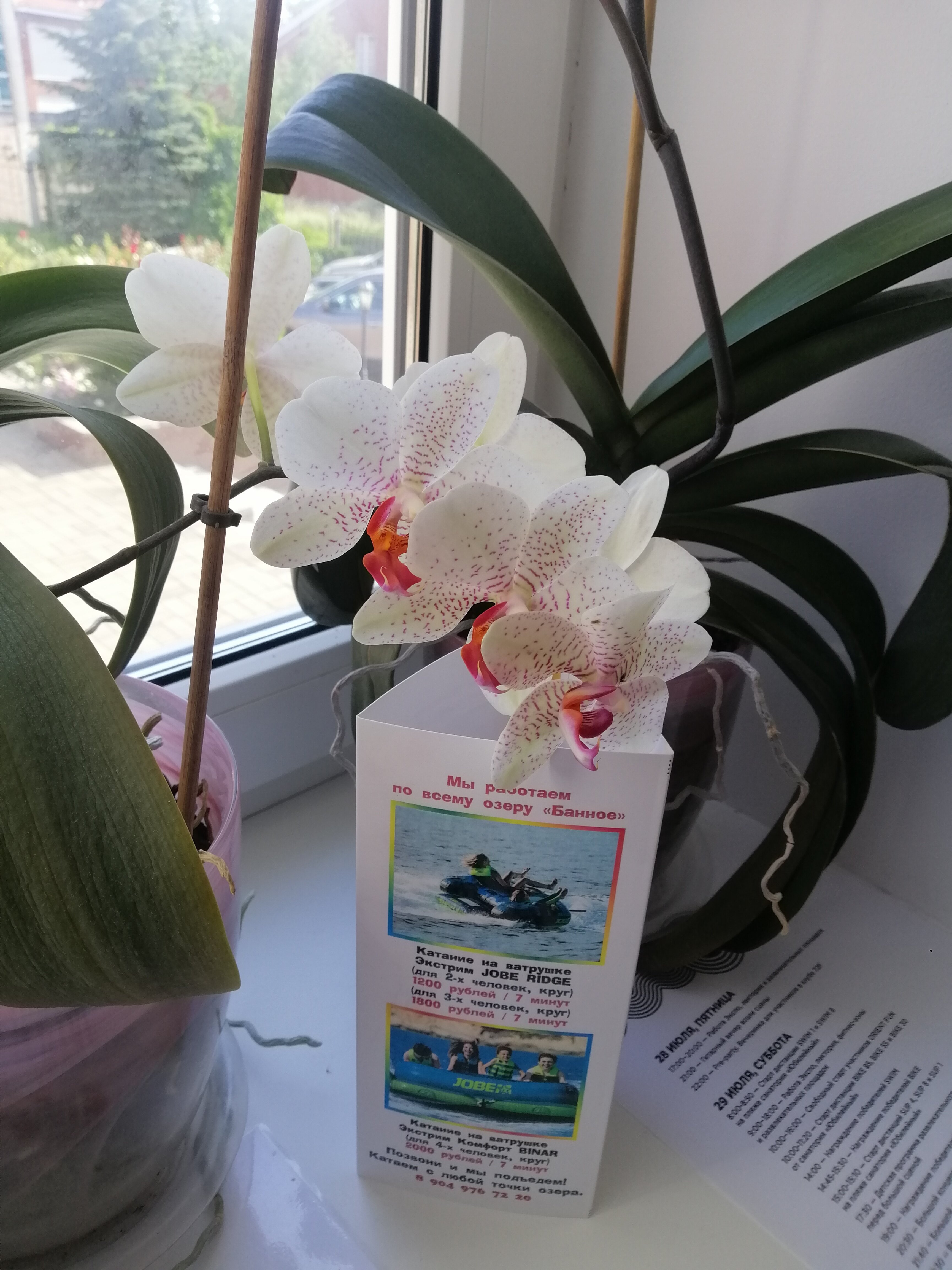 Фото Полянка