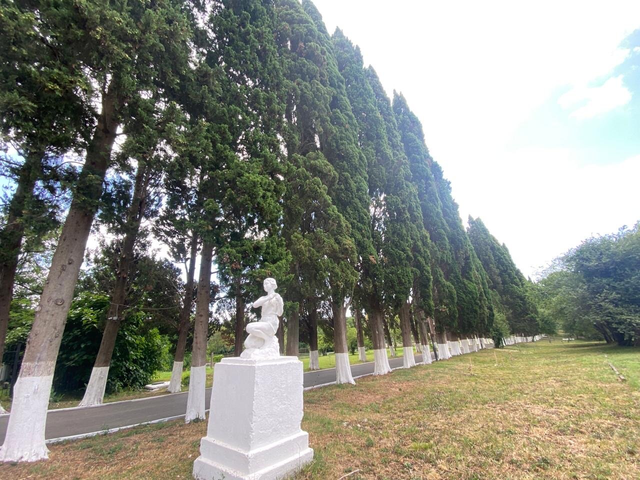 Фото Апартаменты Кипарисовая аллея