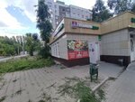 Сибирский бегемот (Voronezh, Moiseeva street, 57), food delivery