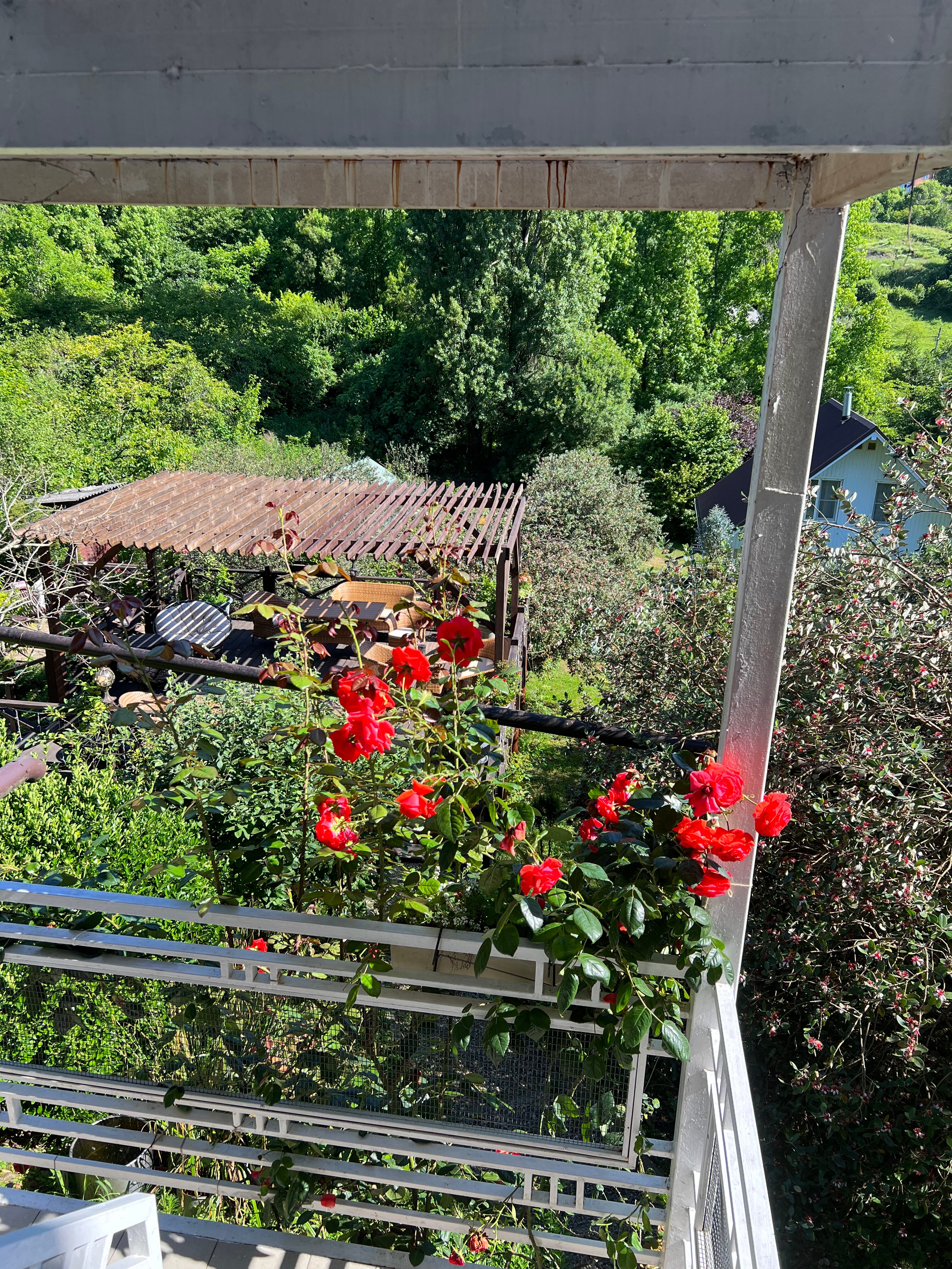 Фото Желтый Дом