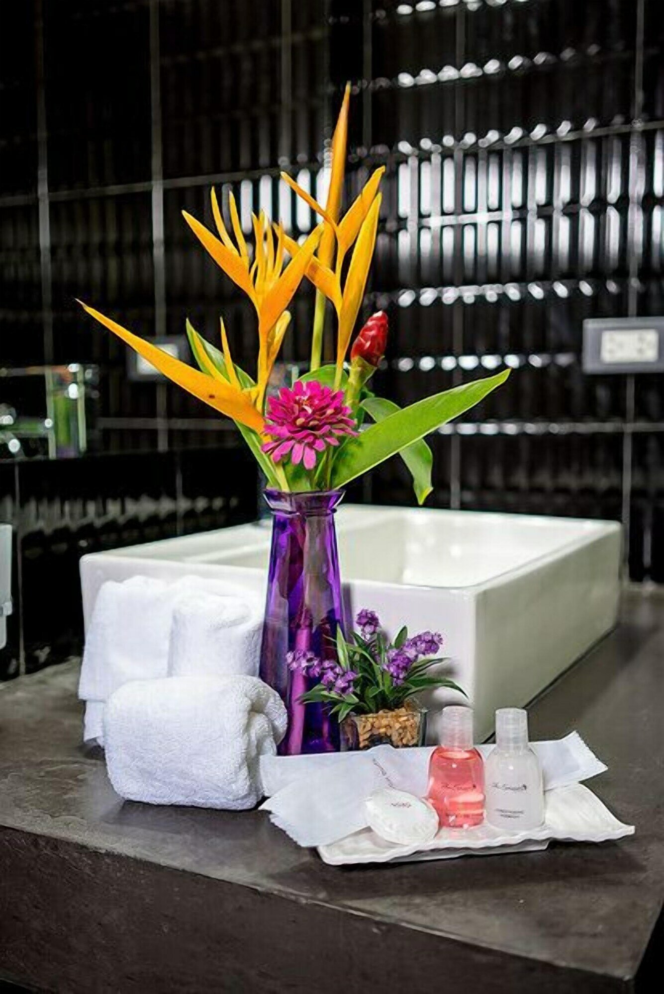 Фото The Serenity Resort