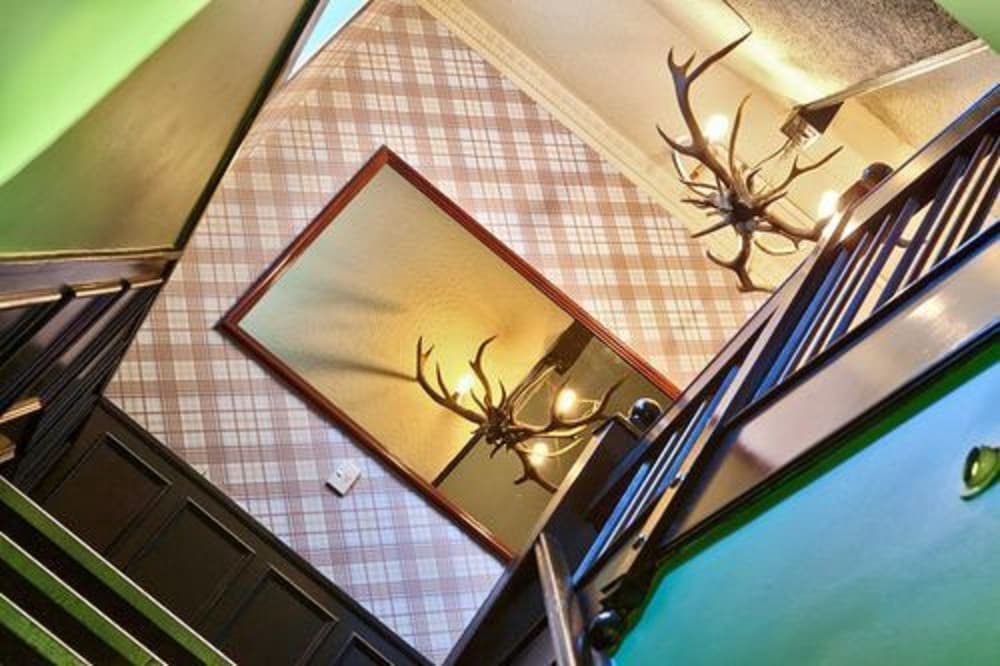 Фото Albion of Auckland